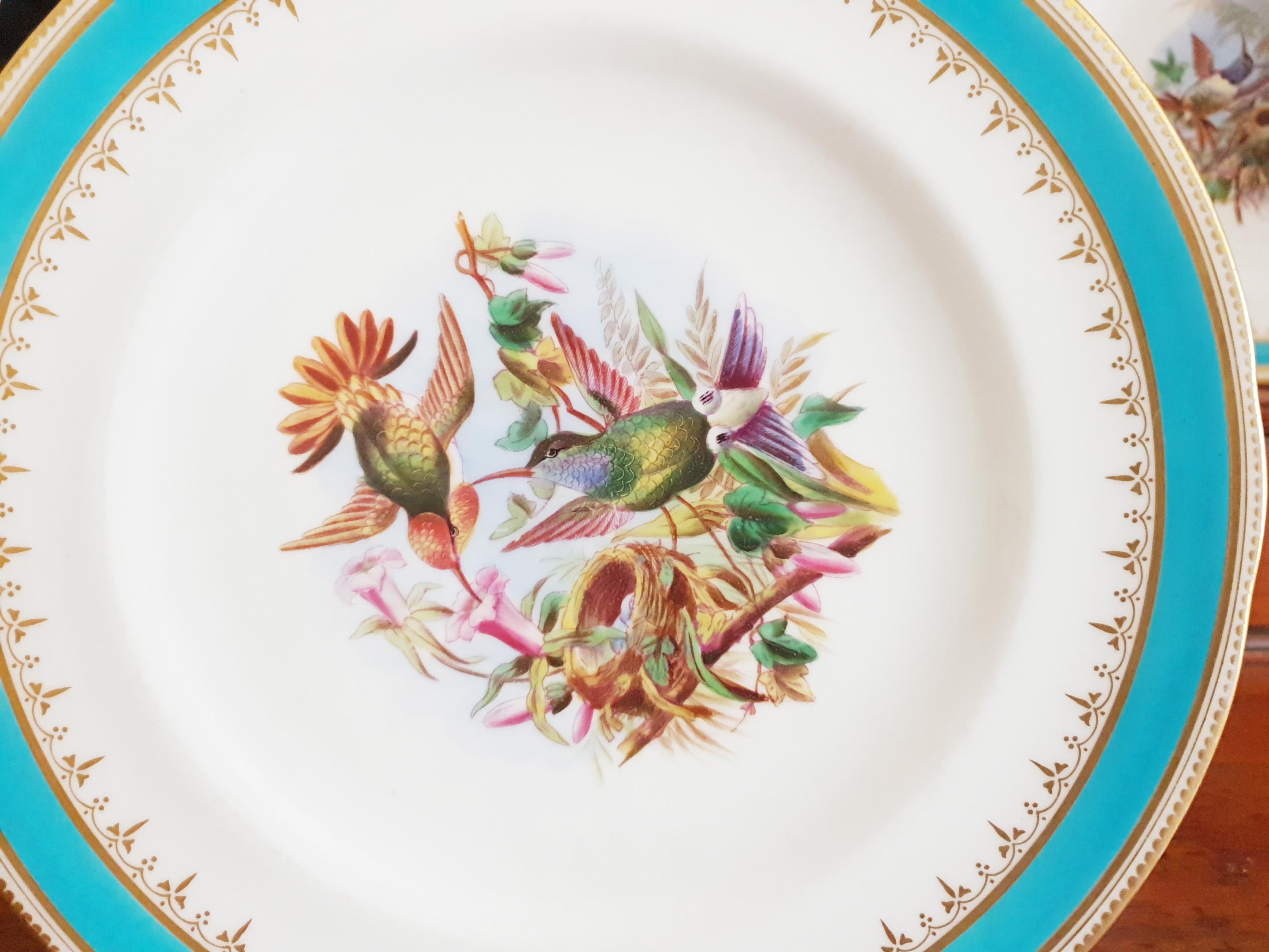 Minton Hand Painted Dinner Plates with Humming Birds and Parrots For Sale 3