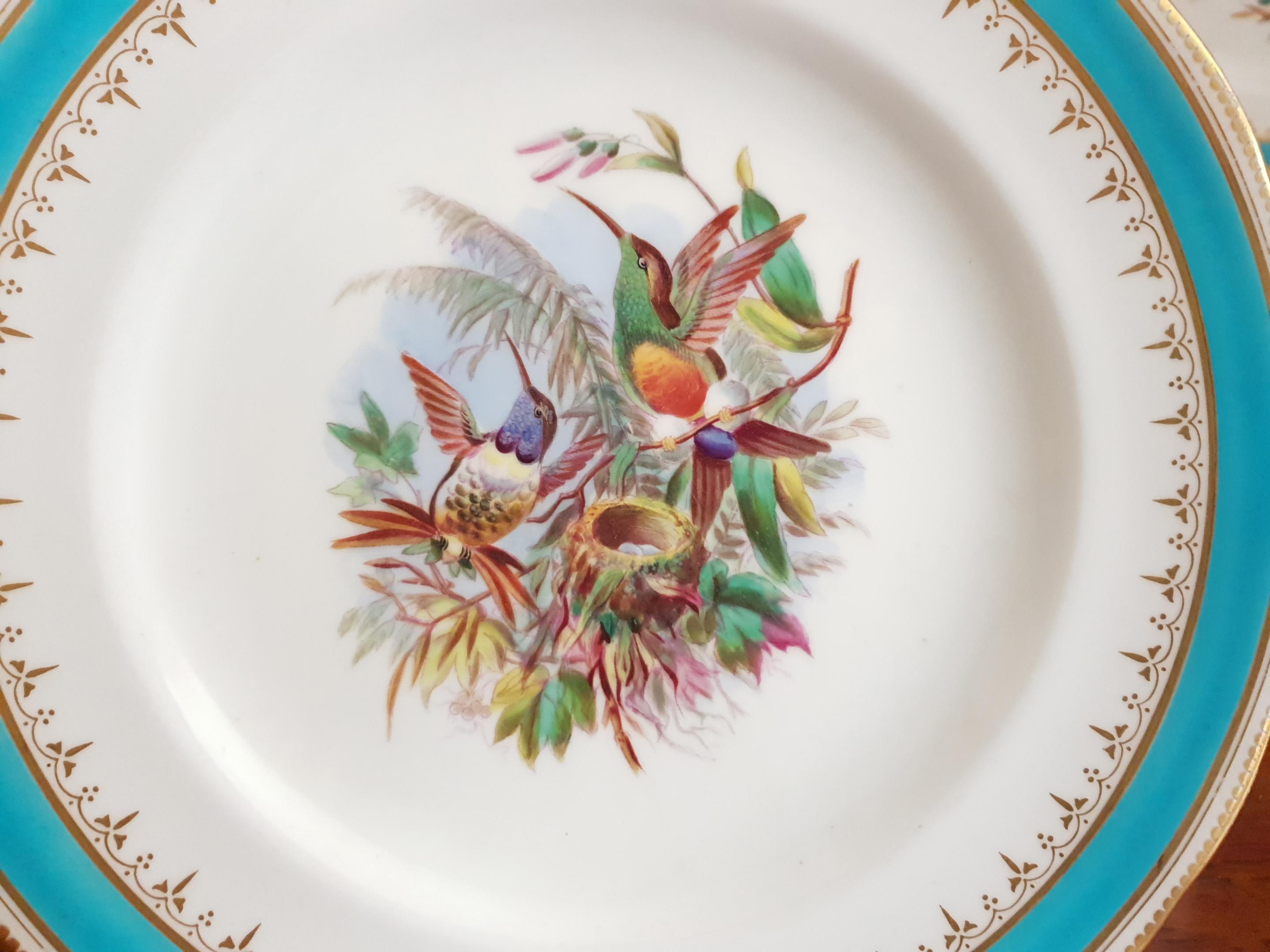 Minton Hand Painted Dinner Plates with Humming Birds and Parrots For Sale 4