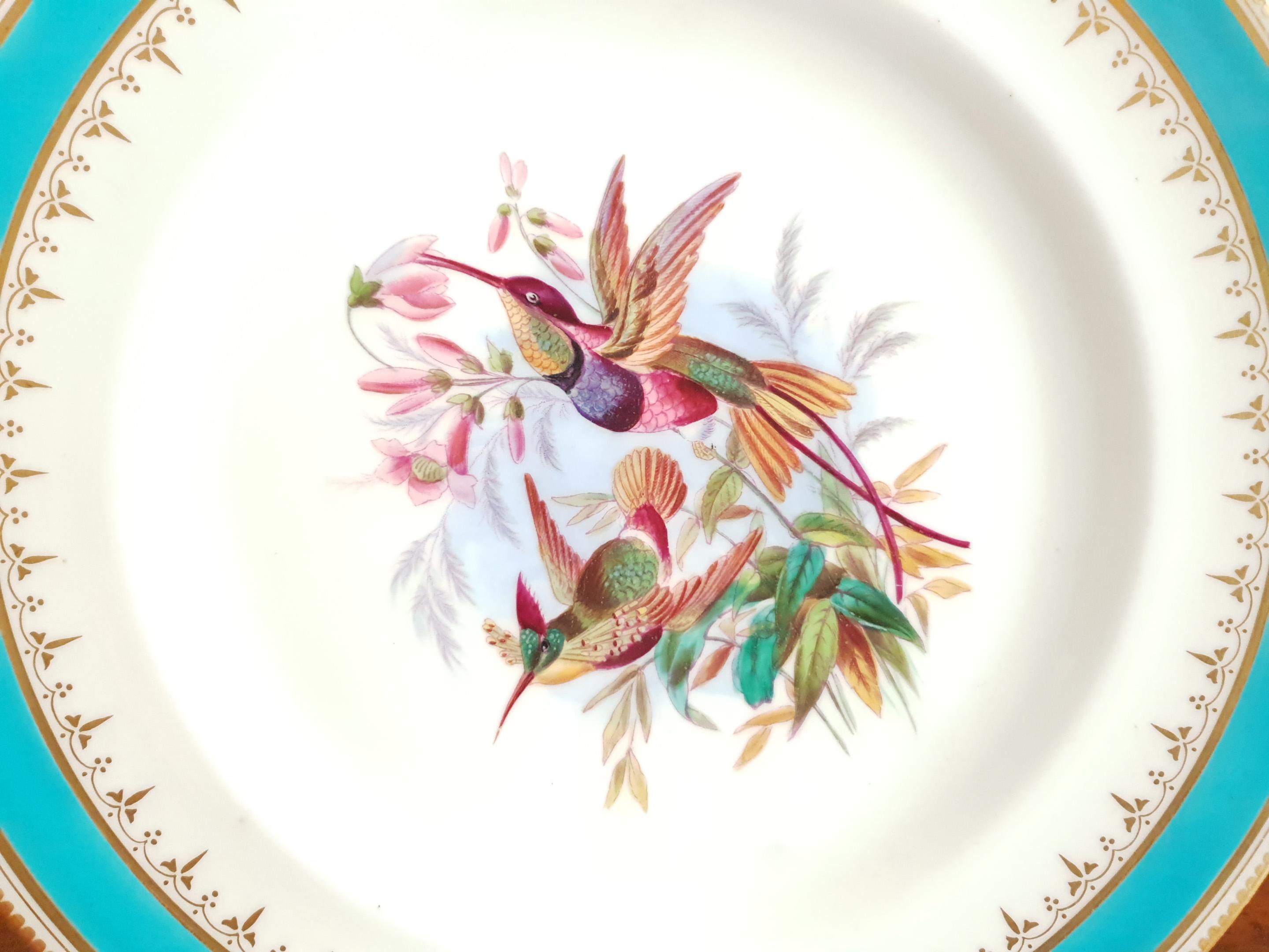 Minton Hand Painted Dinner Plates with Humming Birds and Parrots For Sale 5