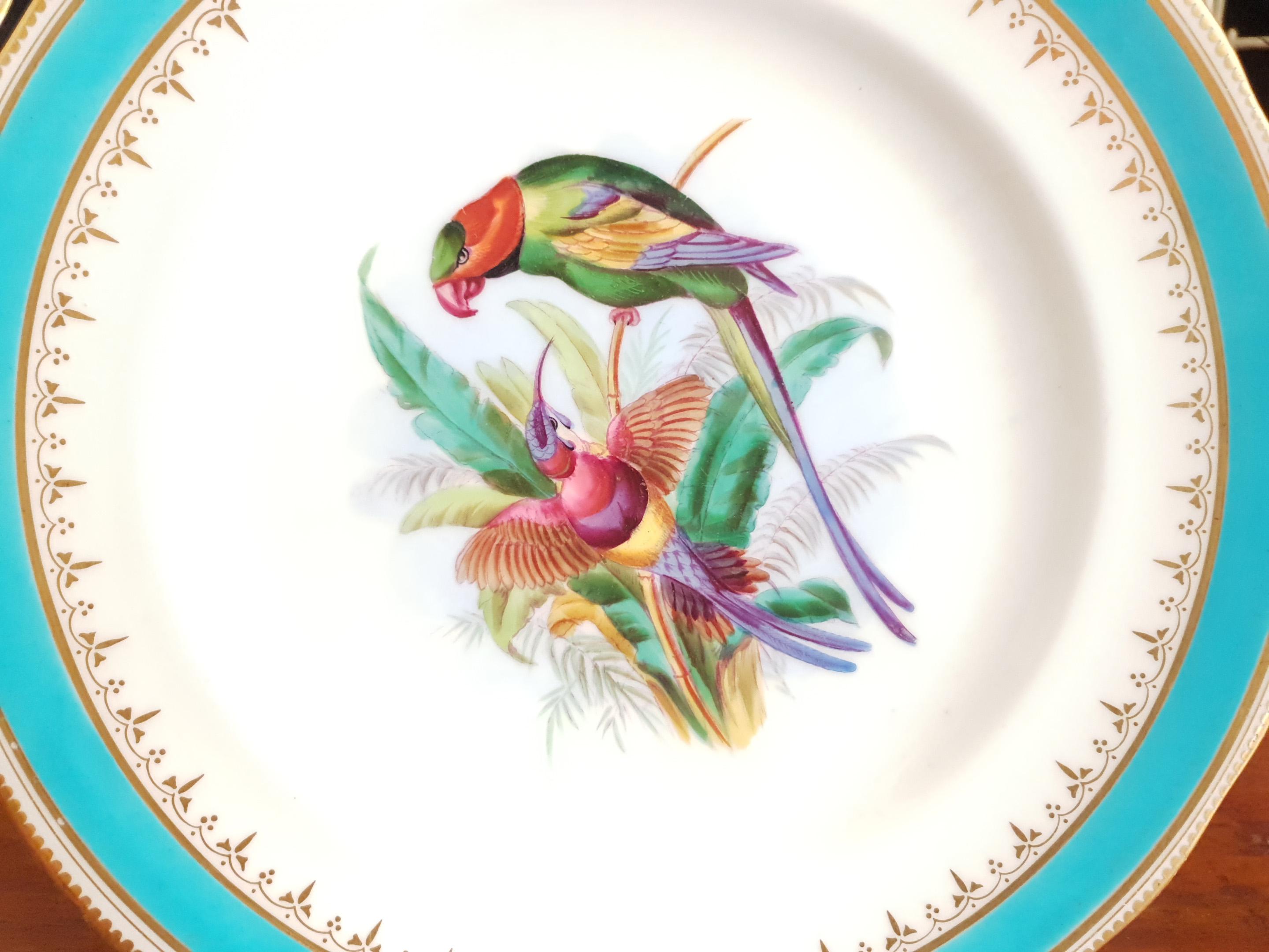 Minton Hand Painted Dinner Plates with Humming Birds and Parrots For Sale 6