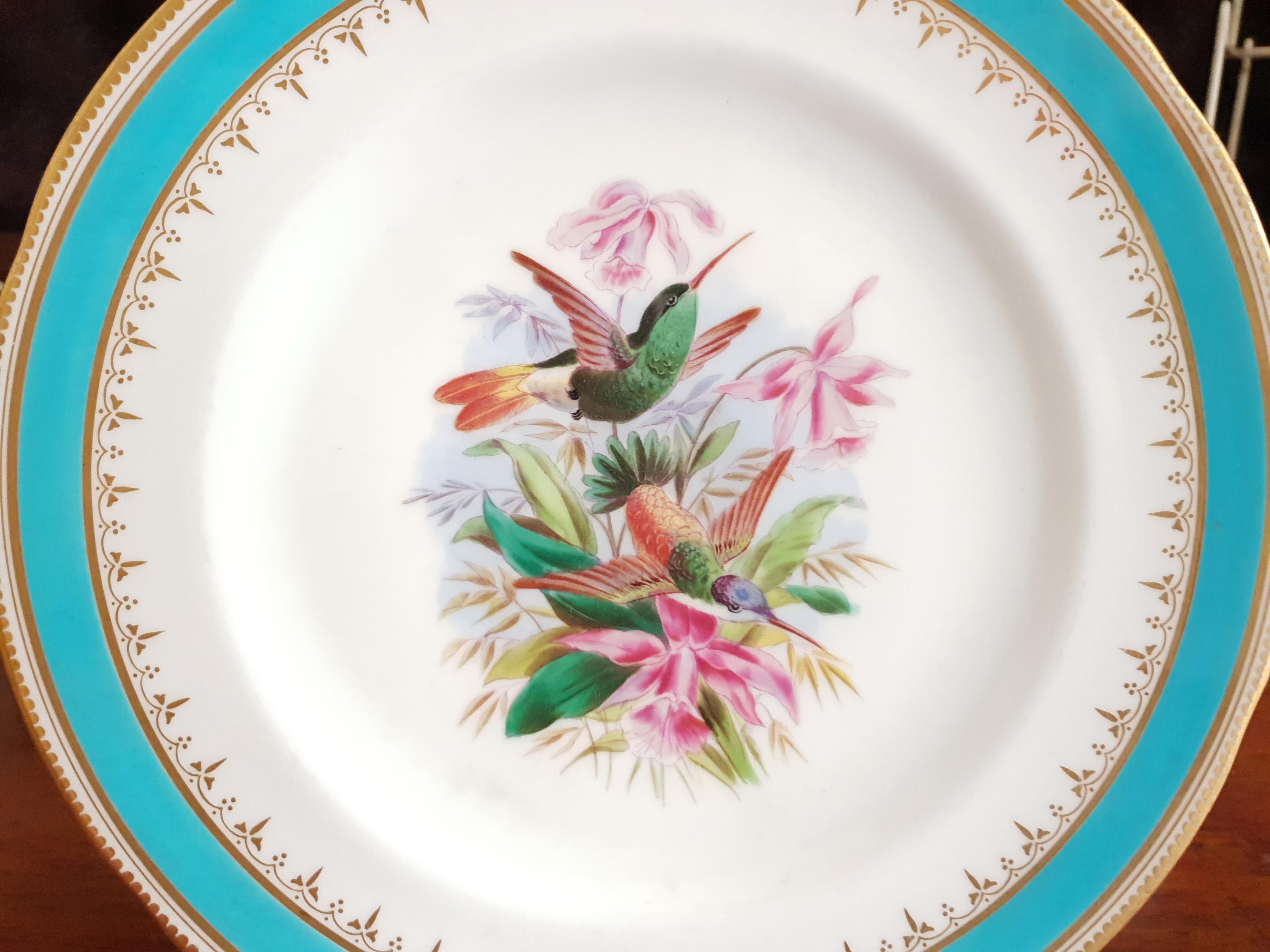 Minton Hand Painted Dinner Plates with Humming Birds and Parrots For Sale 7