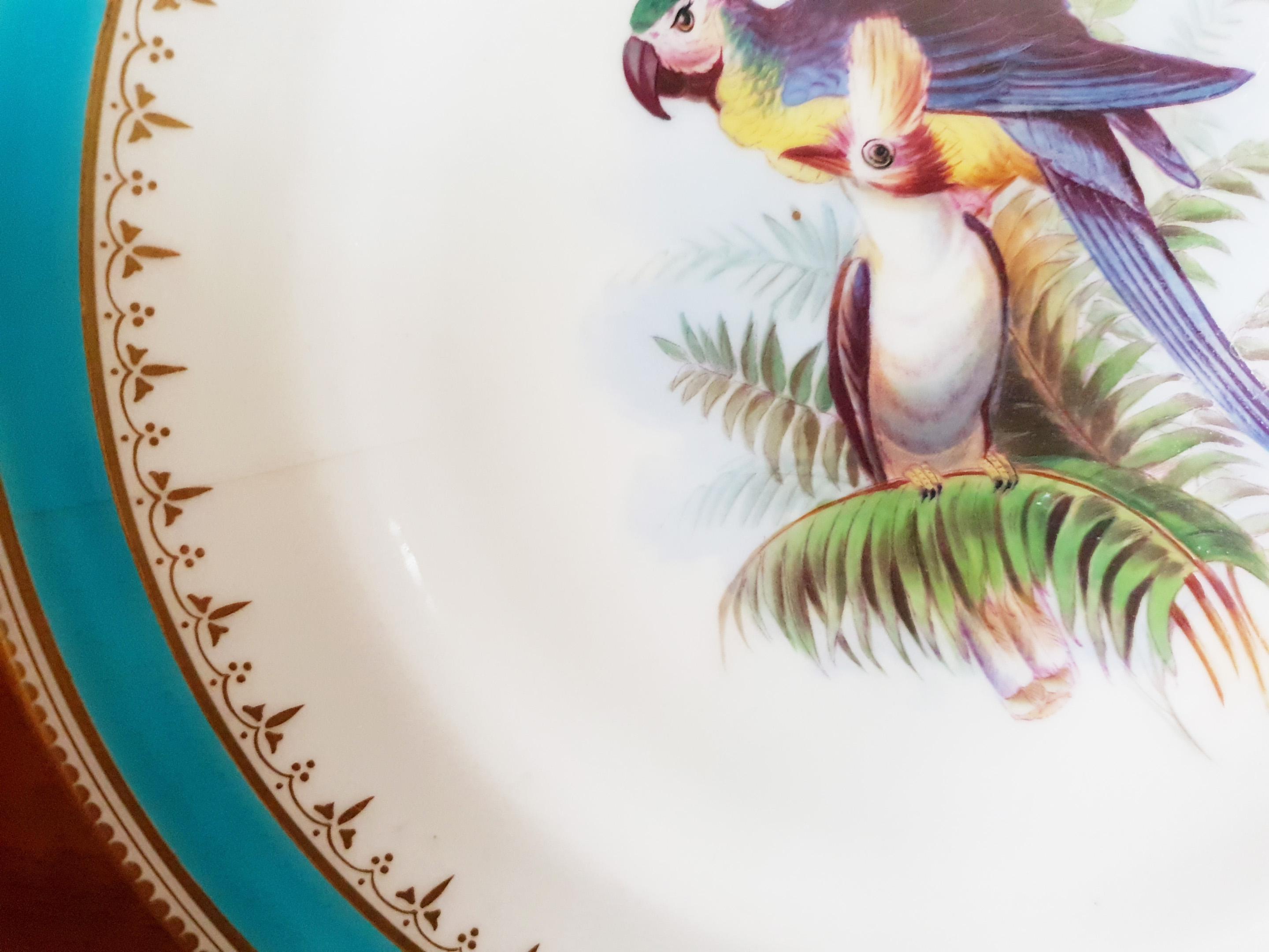 Minton Hand Painted Dinner Plates with Humming Birds and Parrots For Sale 8