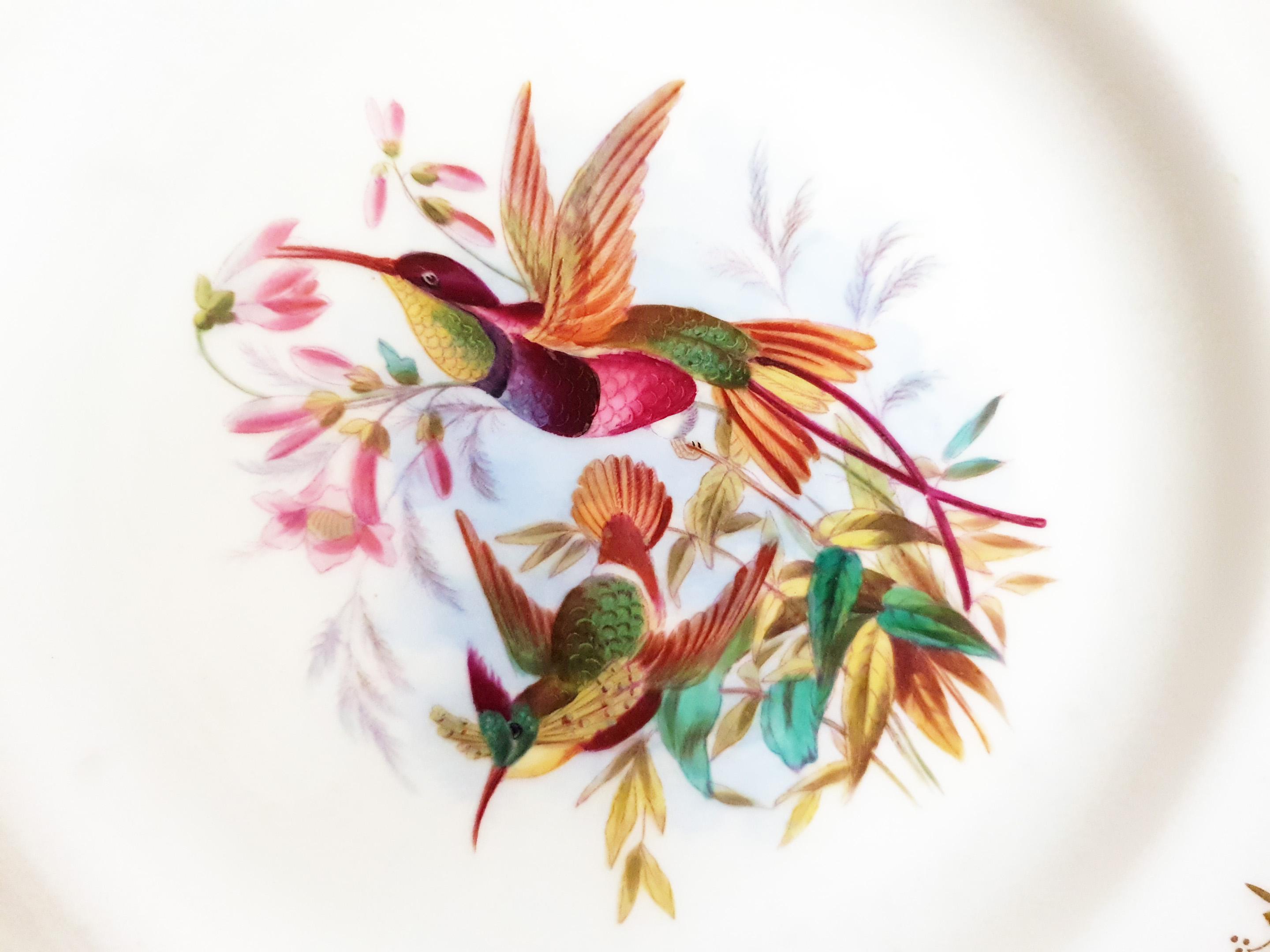 Hand-Painted Minton Hand Painted Dinner Plates with Humming Birds and Parrots For Sale