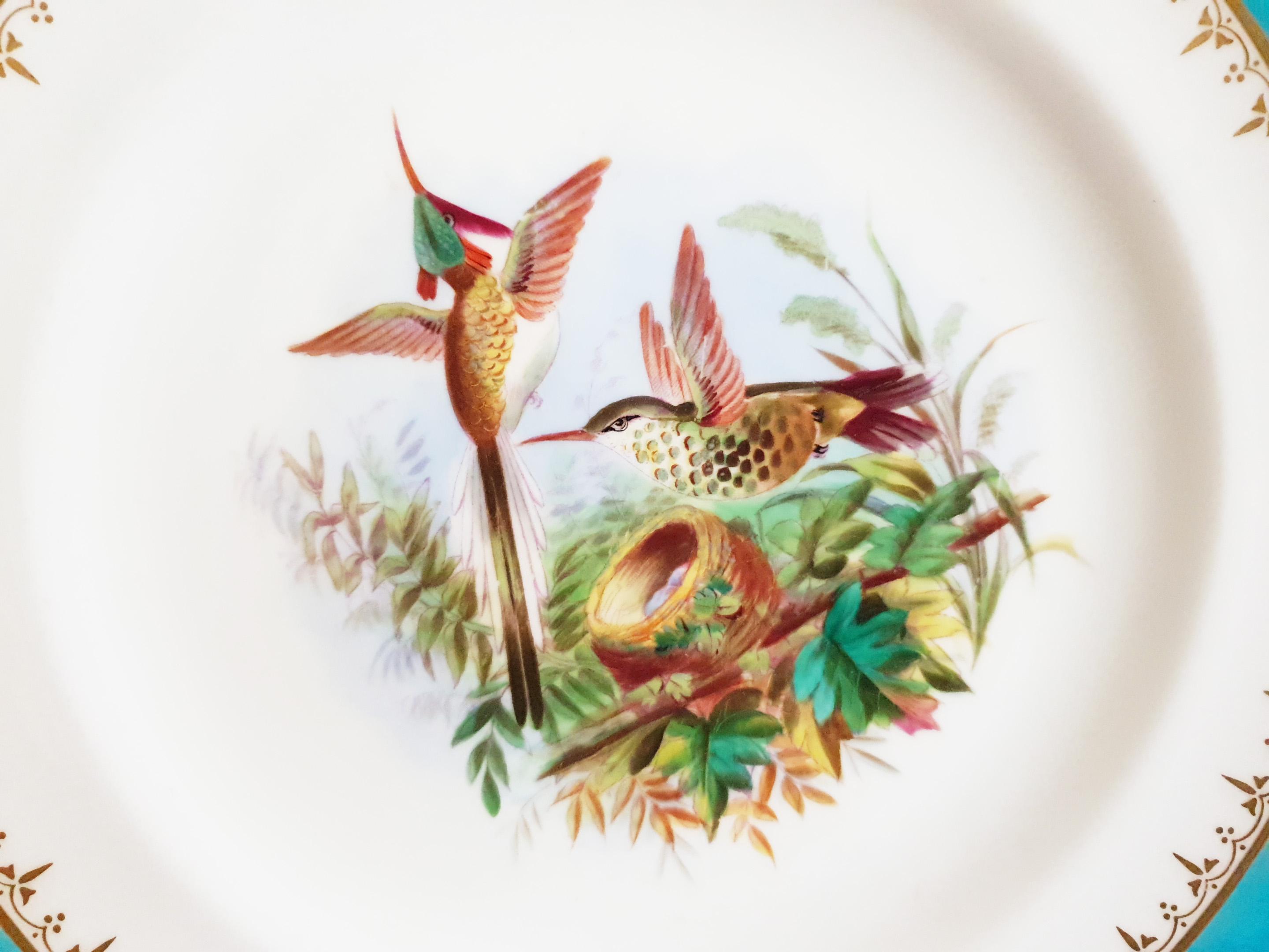 Minton Hand Painted Dinner Plates with Humming Birds and Parrots In Good Condition For Sale In London, GB
