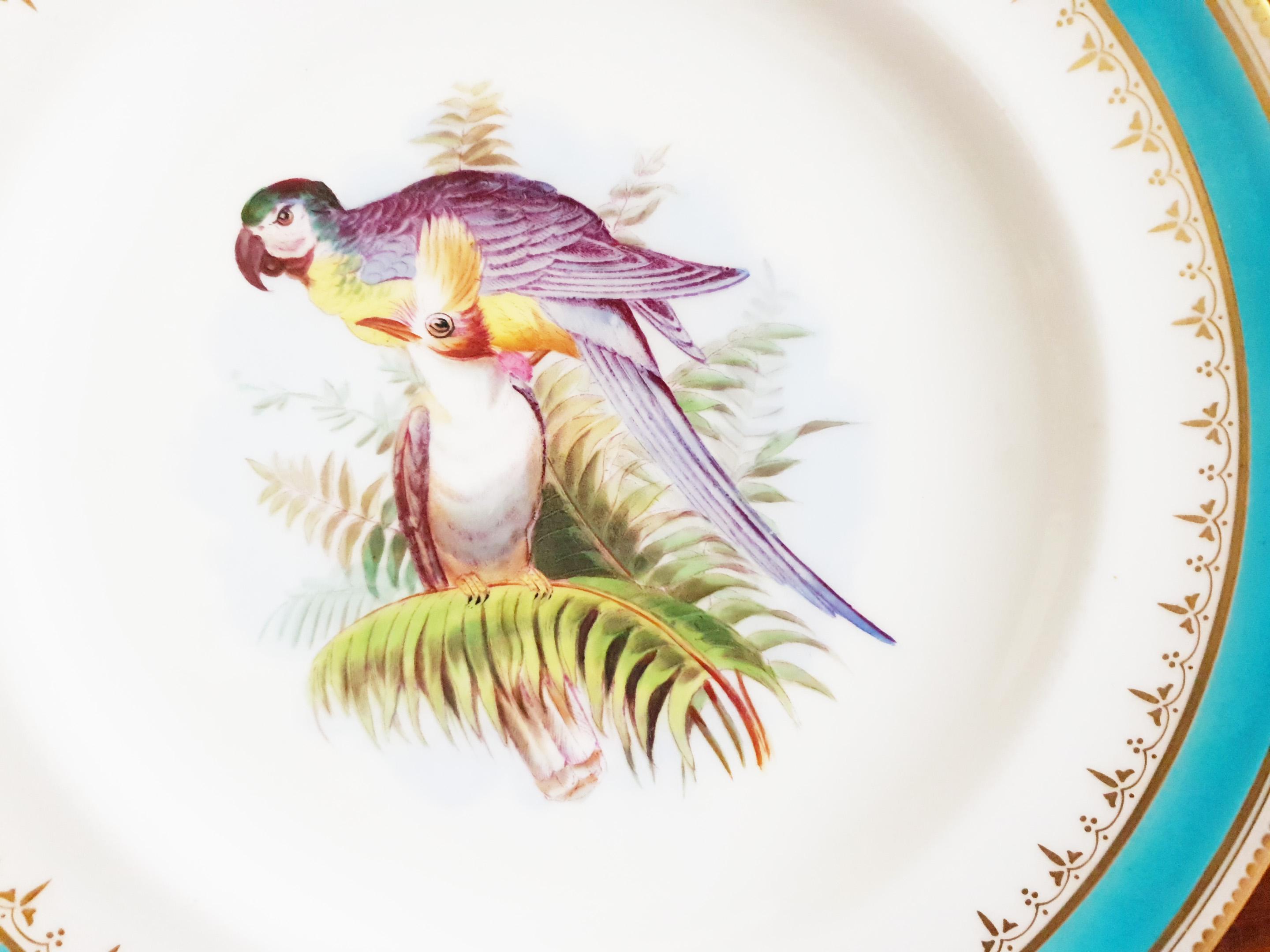19th Century Minton Hand Painted Dinner Plates with Humming Birds and Parrots For Sale