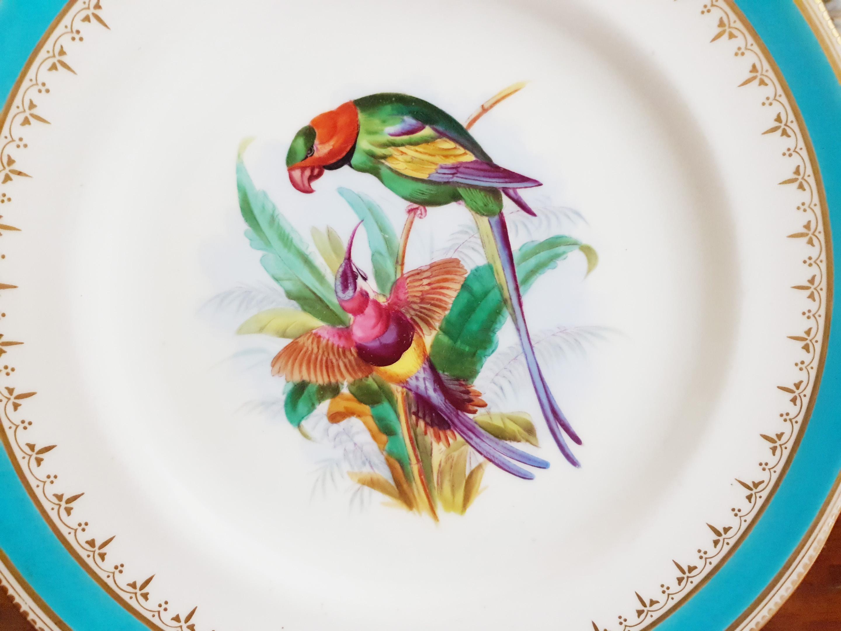 Porcelain Minton Hand Painted Dinner Plates with Humming Birds and Parrots For Sale