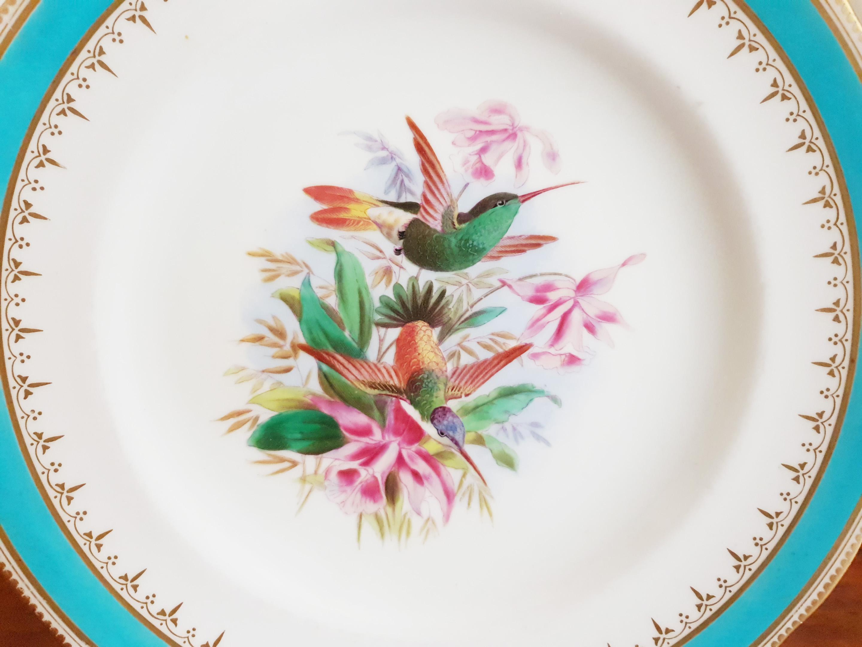 Minton Hand Painted Dinner Plates with Humming Birds and Parrots For Sale 1