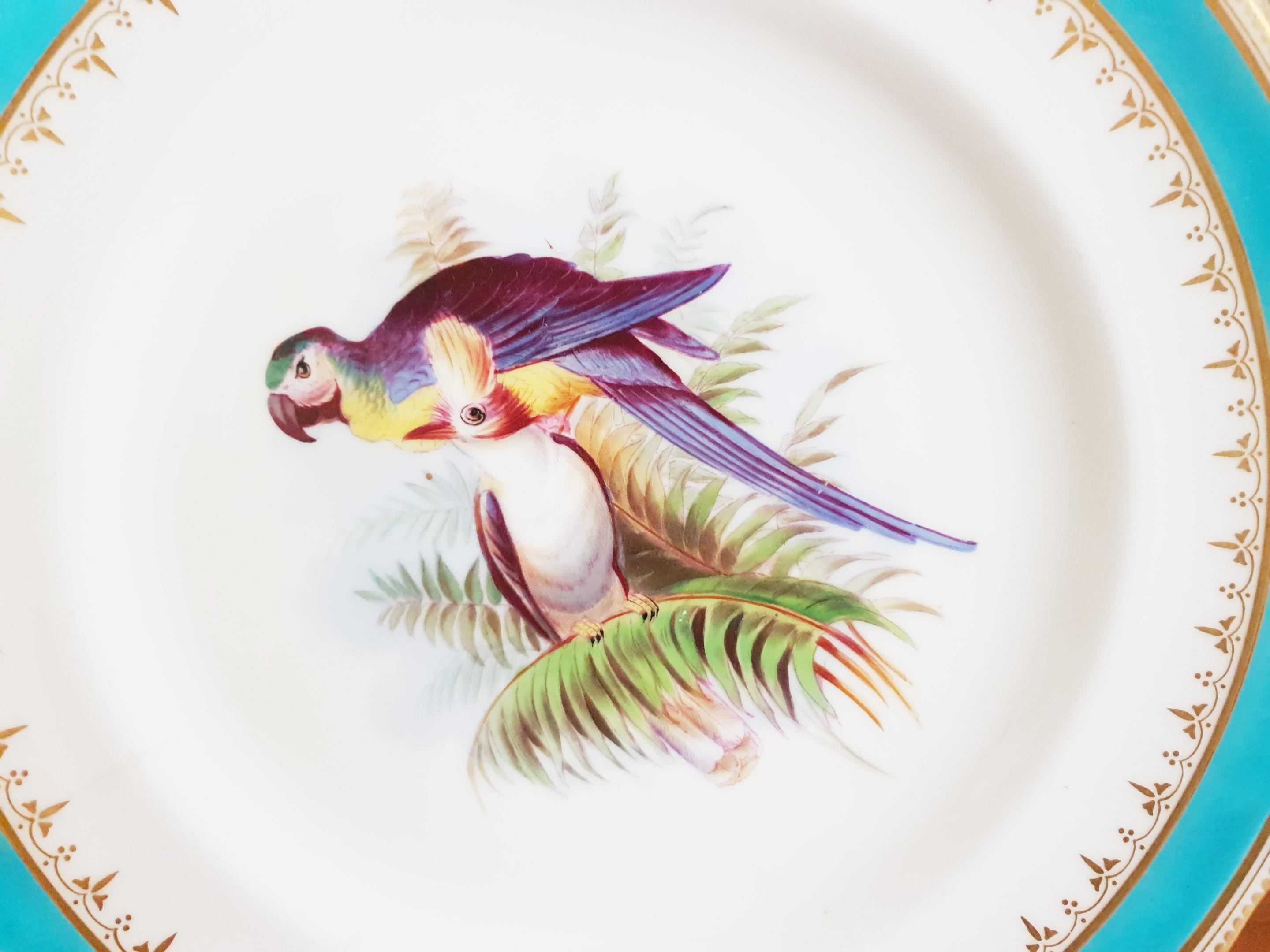 Minton Hand Painted Dinner Plates with Humming Birds and Parrots For Sale 2