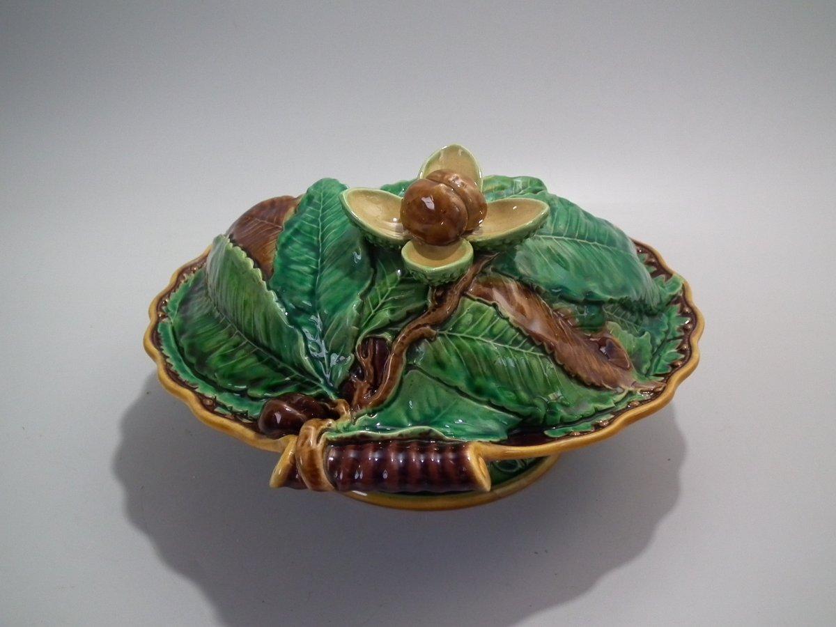 Minton Majolica chestnut server which features chestnuts and chestnut leaves. Coloration: Green, turquoise, brown, are predominant. The piece bears maker's marks for the Minton pottery. Marks include a factory specific date cipher for the year 1860.