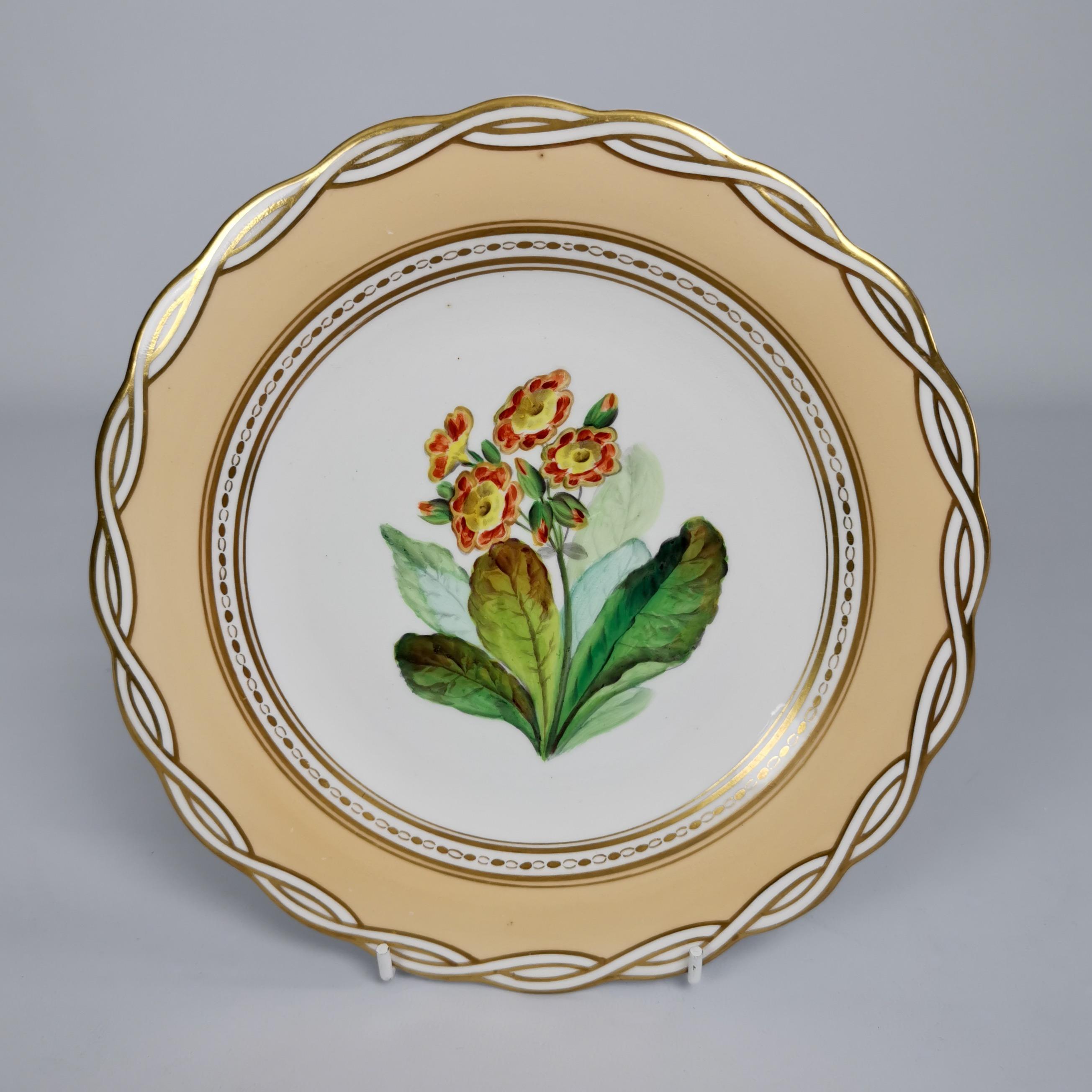Victorian Minton Pair of Plates, Peach with Flowerse, Argyle Style, ca 1850