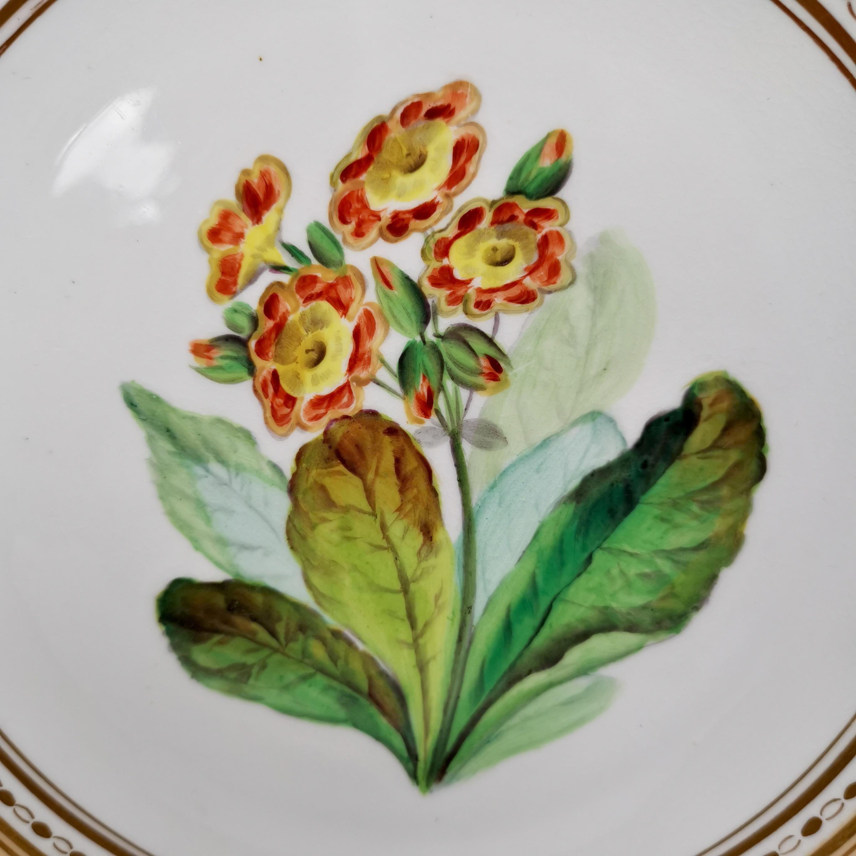 Hand-Painted Minton Pair of Plates, Peach with Flowerse, Argyle Style, ca 1850