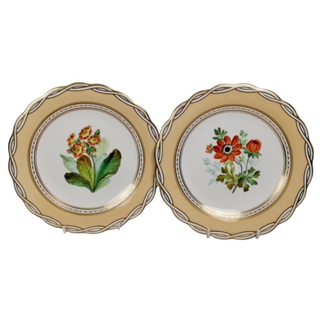 Minton Pair of Plates, Peach with Flowerse, Argyle Style, ca 1850