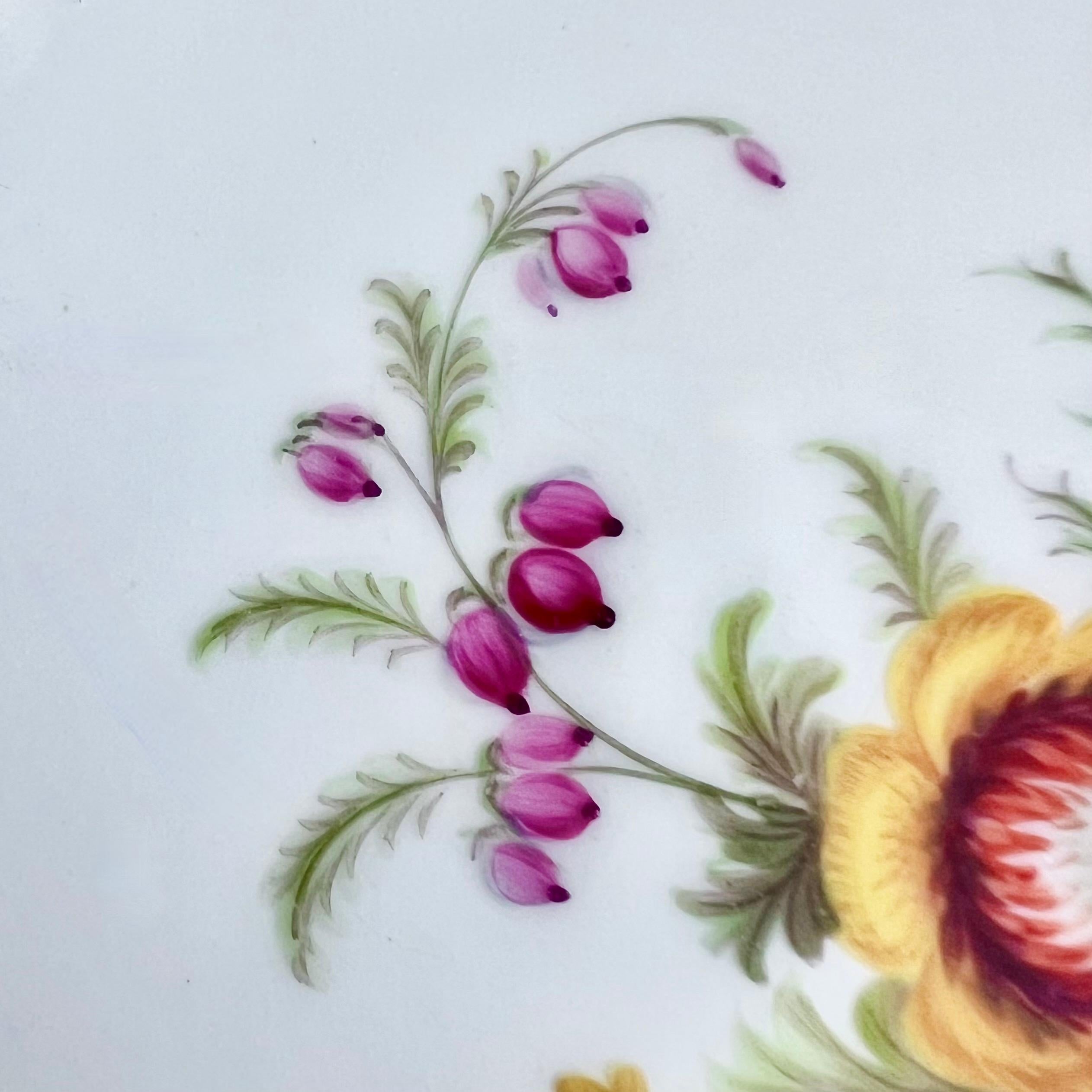 Minton-Teller, Newcastle-prägung, Blumen J. Bancroft, 1857 (4) (Porzellan) im Angebot