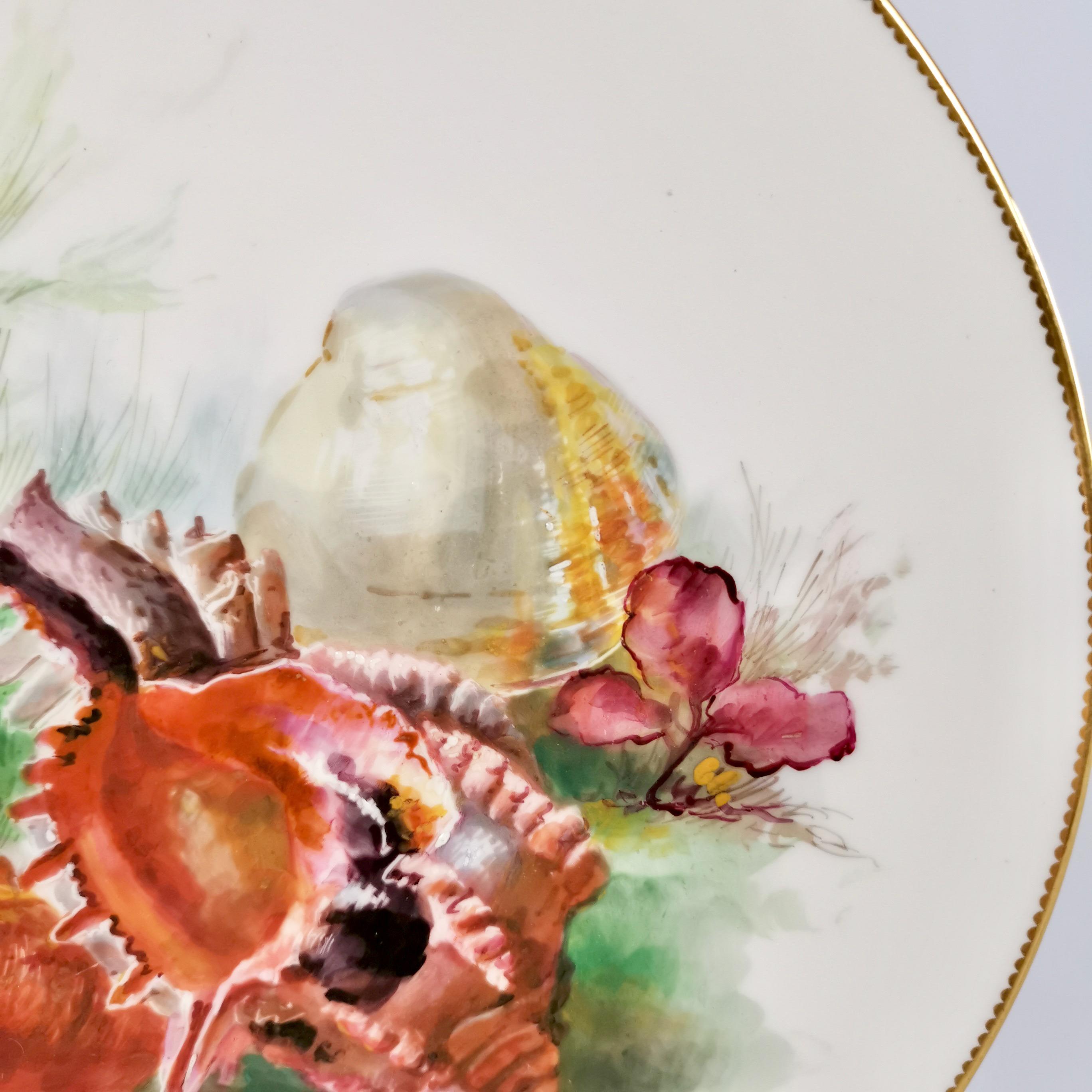 Minton Porcelain Plate, Sea Shells by W. Mussill, Victorian, 1891 In Good Condition For Sale In London, GB