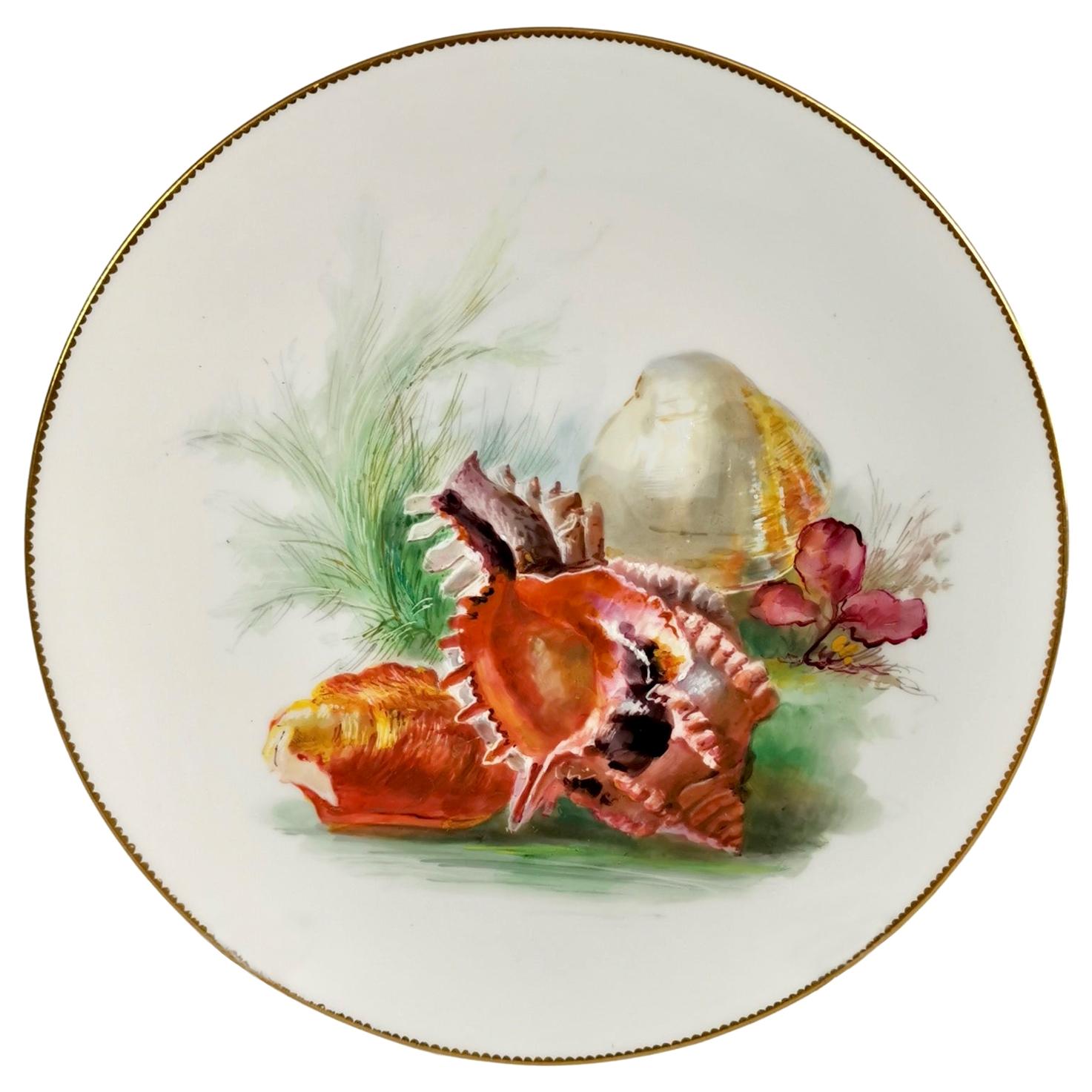 Minton Porcelain Plate, Sea Shells by W. Mussill, Victorian, 1891