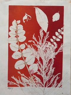Couleurs d'automne Peinture acrylique contemporaine Silhouettes botaniques britanniques