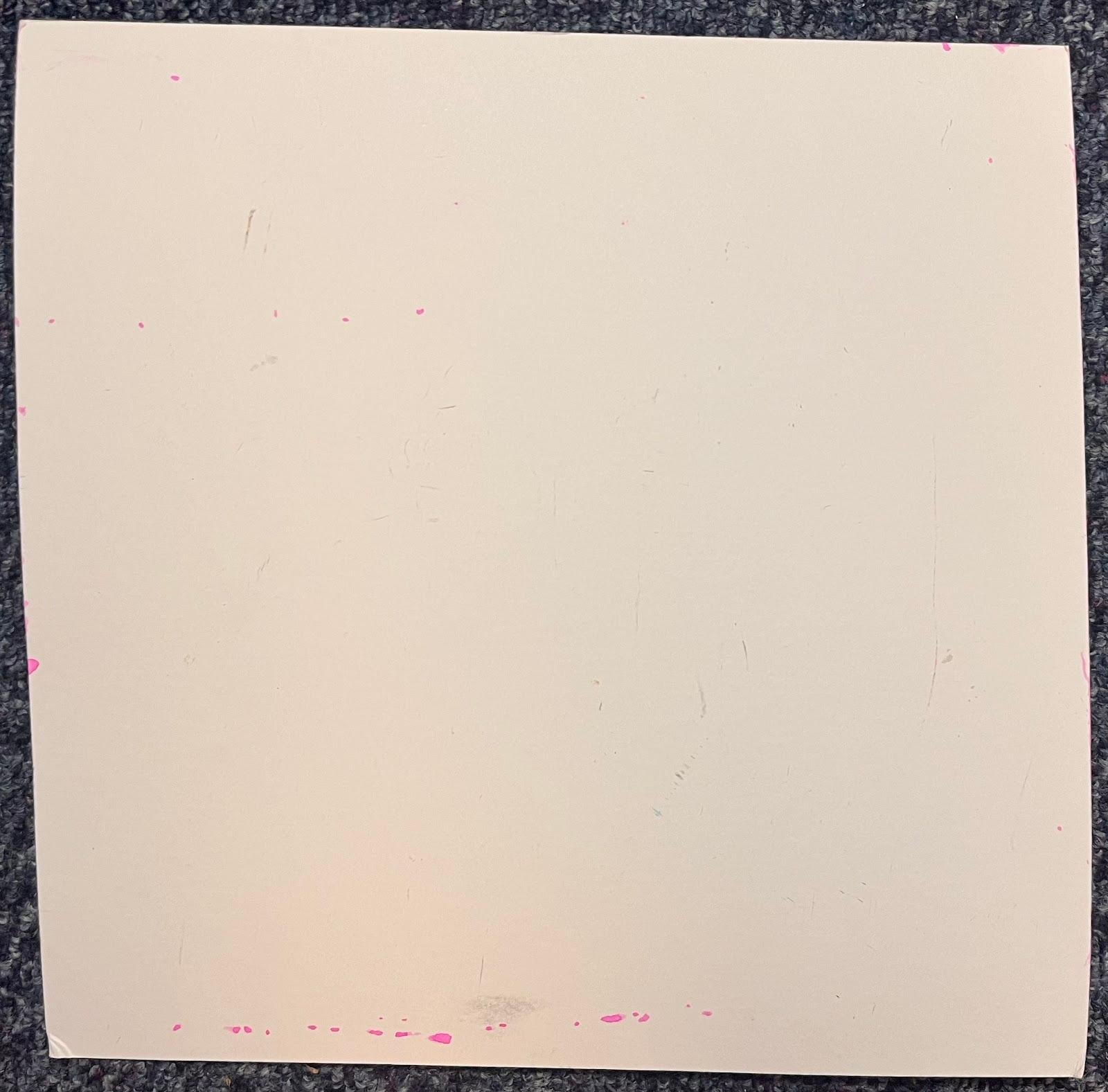 Natura morta rosa con felci verdi Pittura acrilica Contemporary British in vendita 1