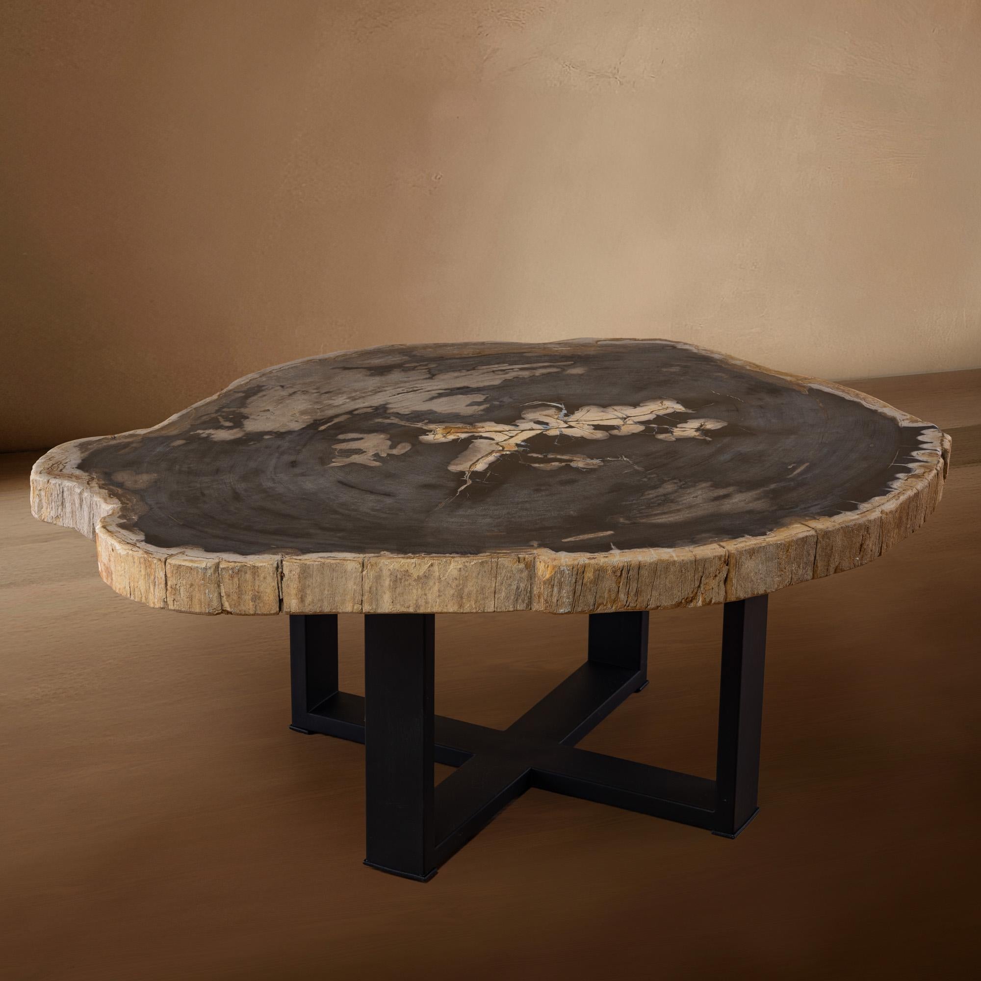 Organic Modern Miocene era Petrified Wood Coffee Table, Natural Shape, with Metal Base For Sale
