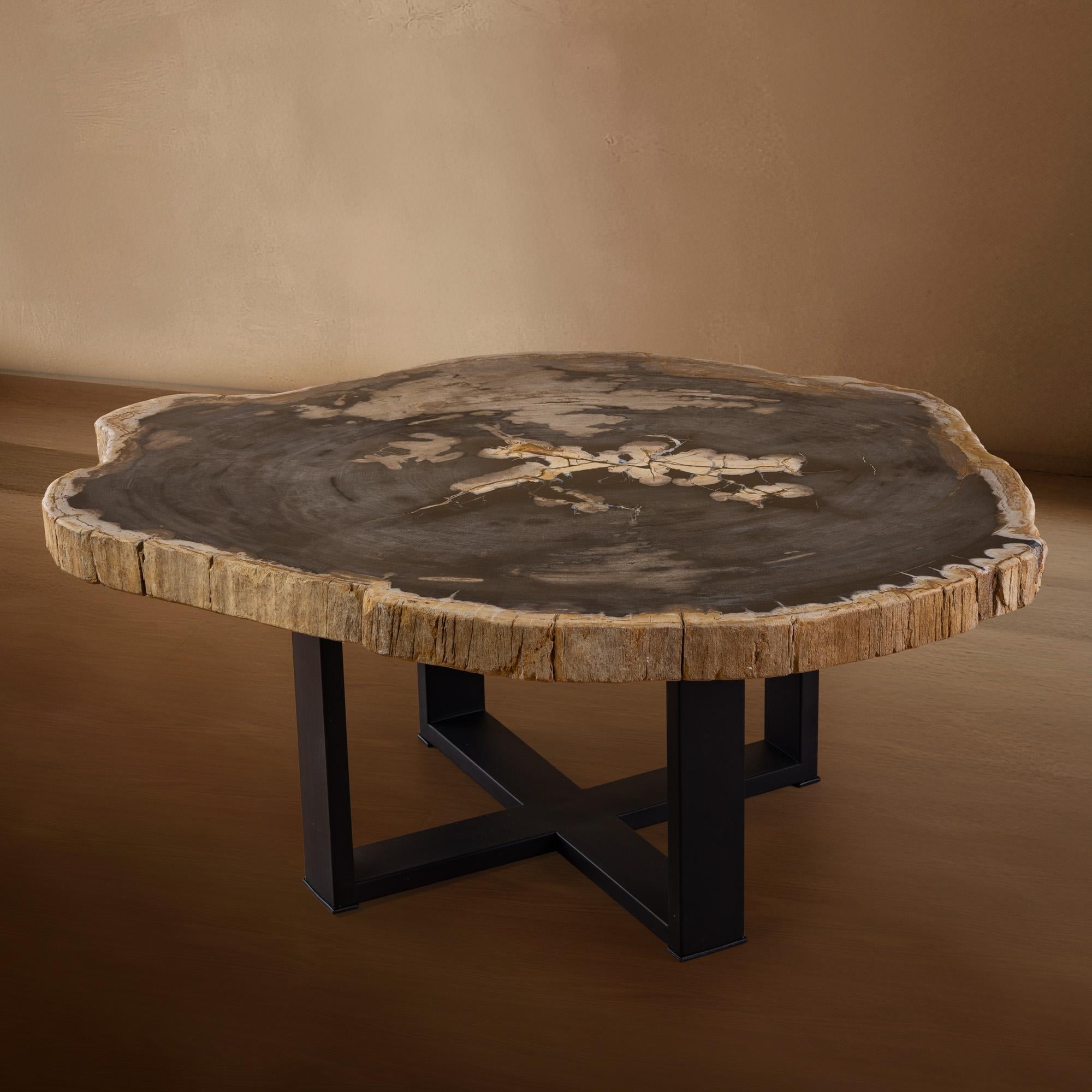 Mexican Miocene era Petrified Wood Coffee Table, Natural Shape, with Metal Base For Sale