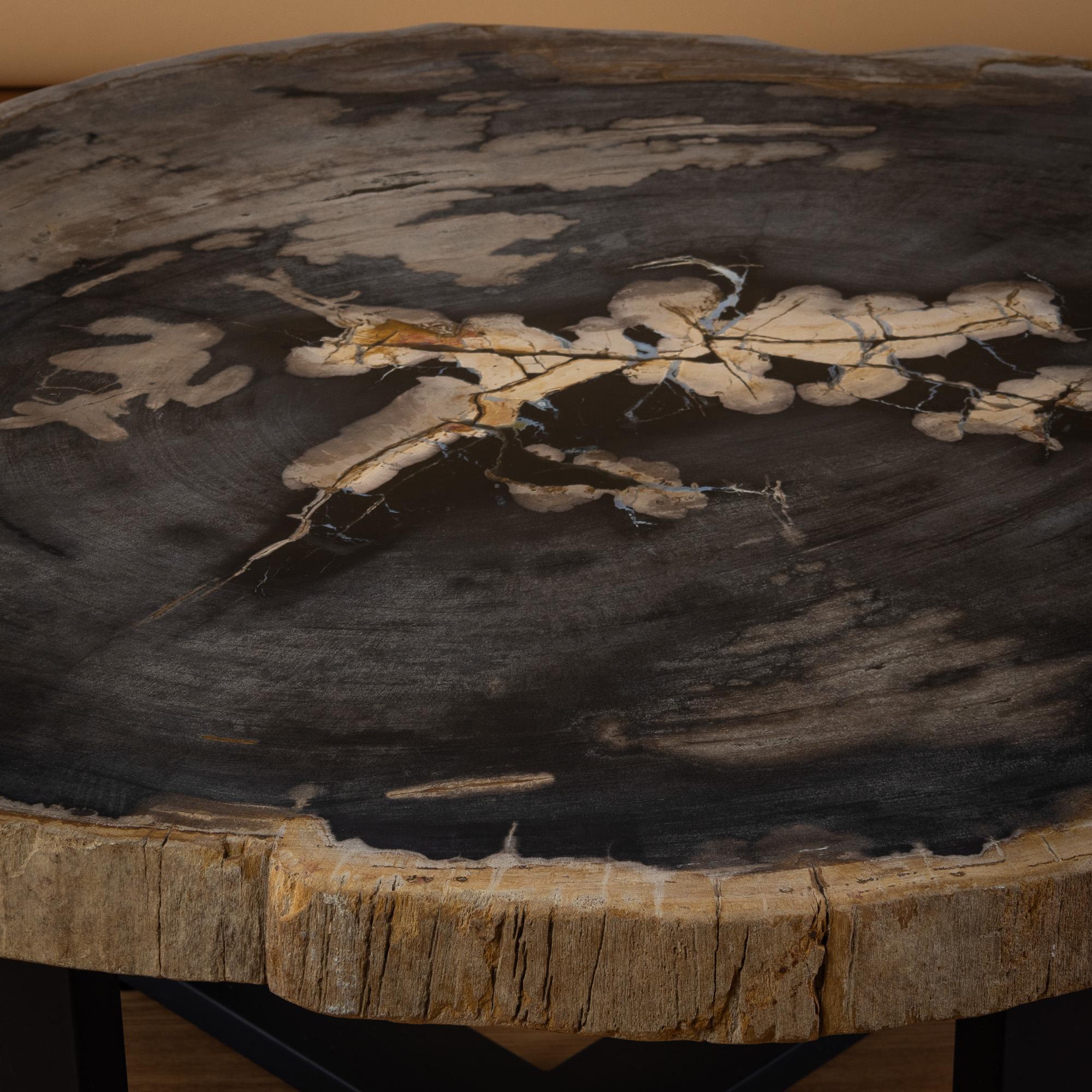 Polished Miocene era Petrified Wood Coffee Table, Natural Shape, with Metal Base For Sale