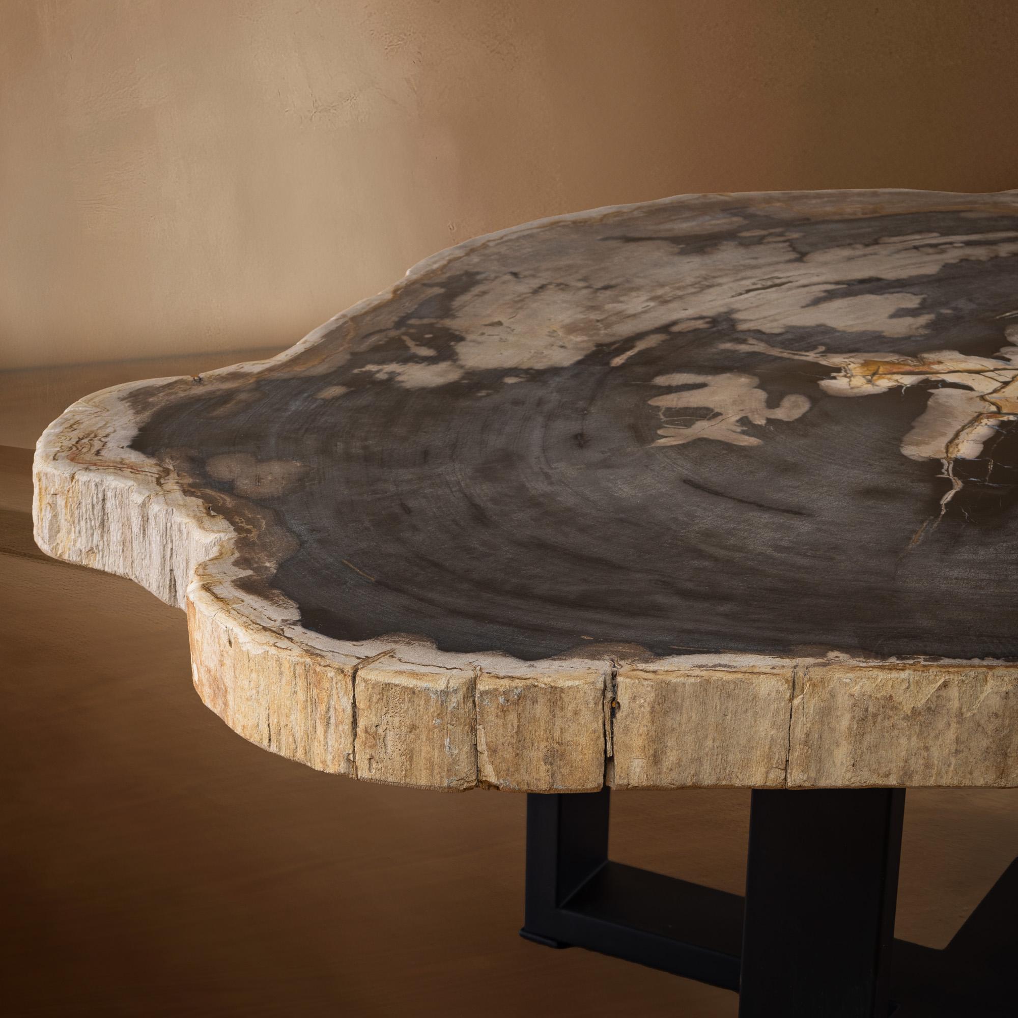 Miocene era Petrified Wood Coffee Table, Natural Shape, with Metal Base In New Condition For Sale In Polanco, CDMX
