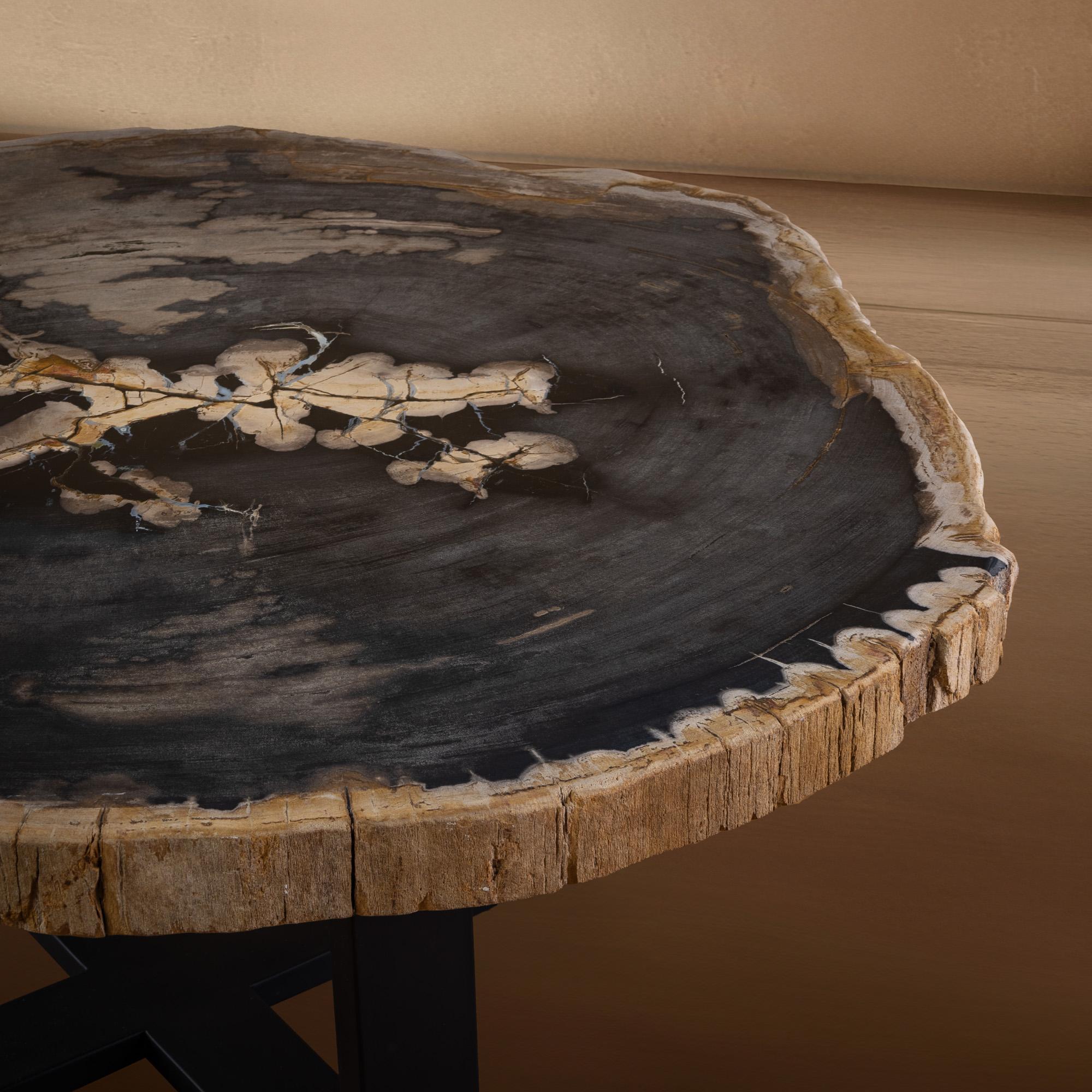 Contemporary Miocene era Petrified Wood Coffee Table, Natural Shape, with Metal Base For Sale