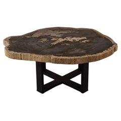 Miocene era Petrified Wood Coffee Table, Natural Shape, with Metal Base
