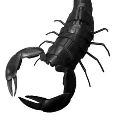 Escorpión - 21e siècle, Sculpture contemporaine, Figurative, And Objects fors.