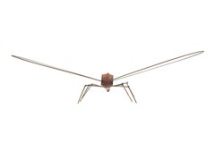 Libélula - 21st Century, Contemporary Sculpture, Figurative, Recycling