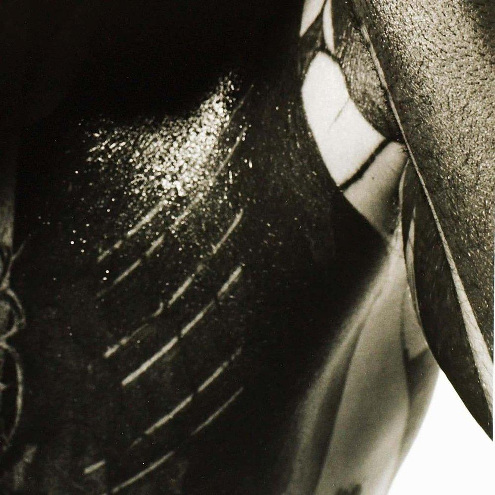 Miquel Arnal, Hombre tatuado, Fotografía grande en blanco y negro, Enmarcada en venta 3