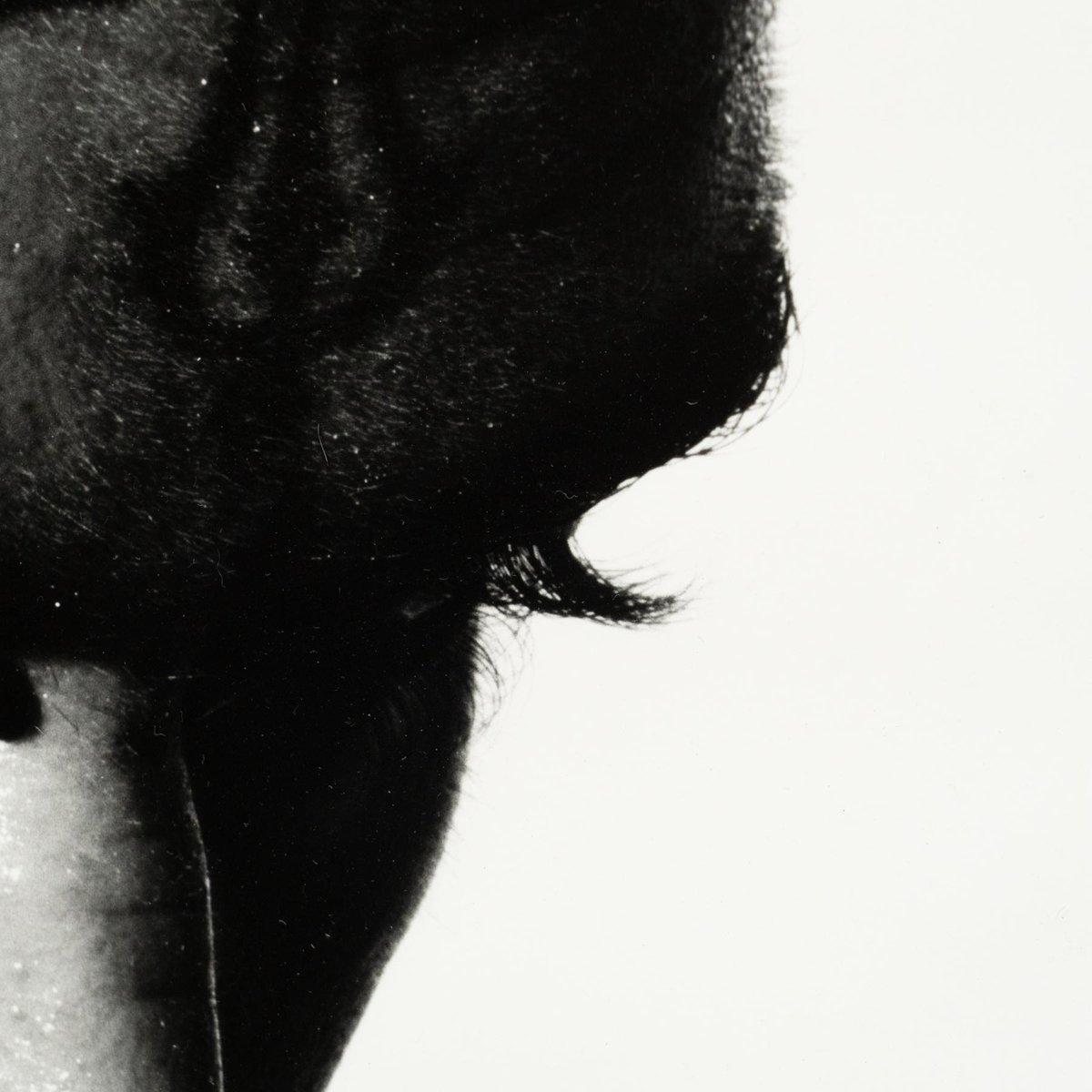 Miquel Arnal, Hombre tatuado, Fotografía en blanco y negro firmada a mano, enmarcada en venta 9