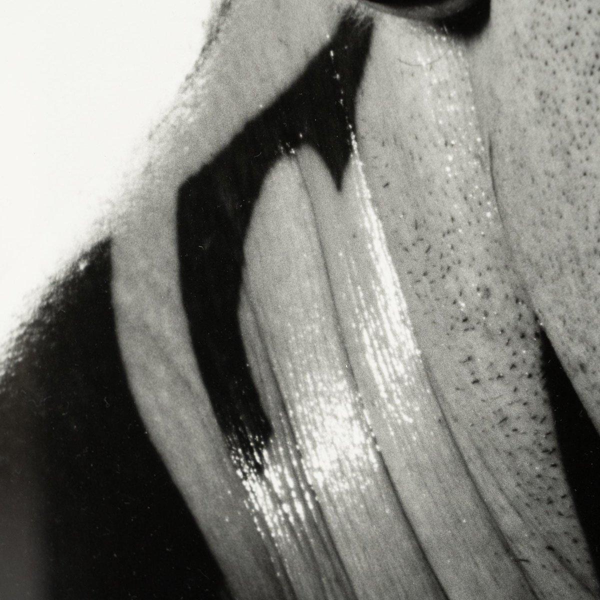 Miquel Arnal, Hombre tatuado, Fotografía en blanco y negro firmada a mano, enmarcada en venta 11