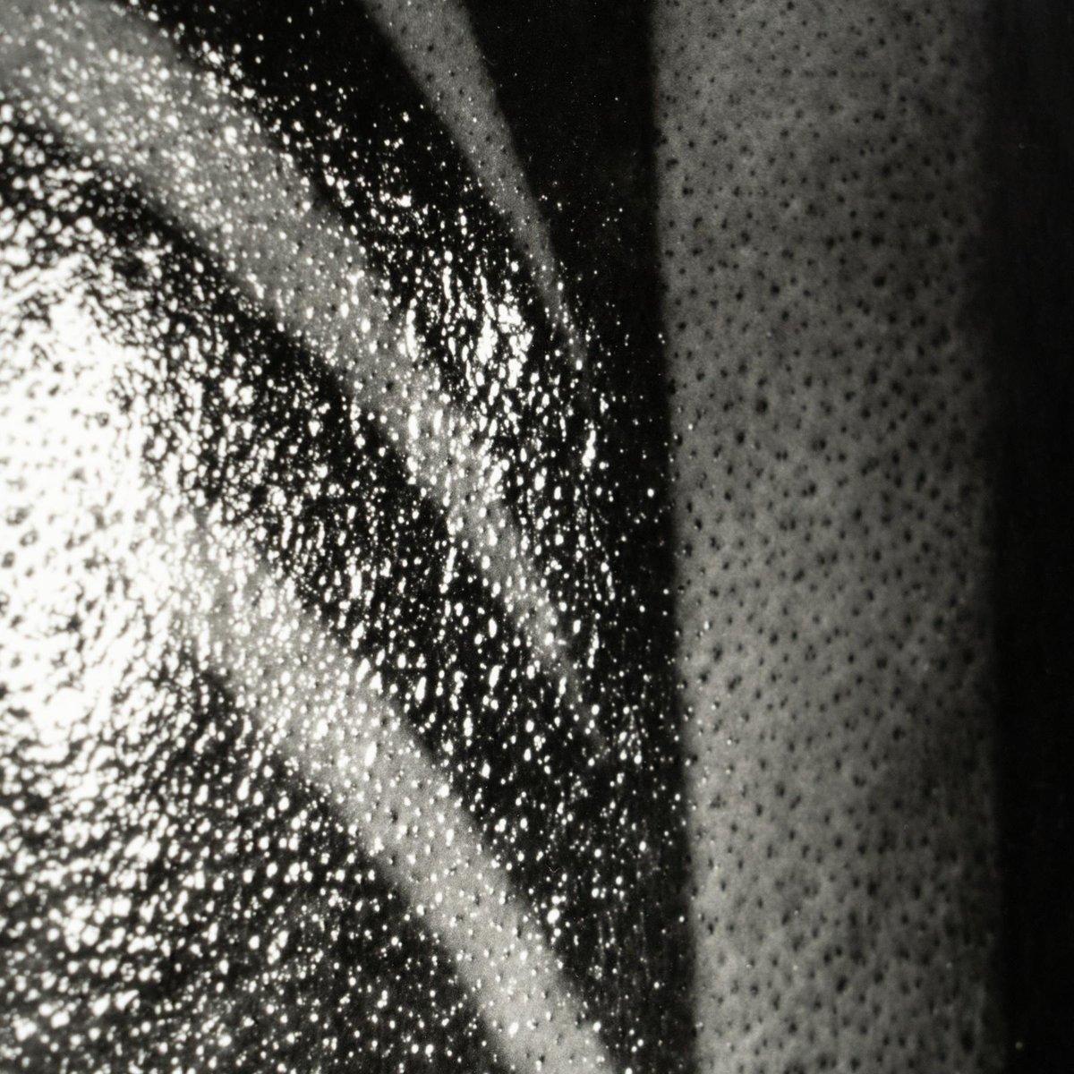 Miquel Arnal, Homme tatoué, photographie en noir et blanc signée de sa main, encadrée en vente 11