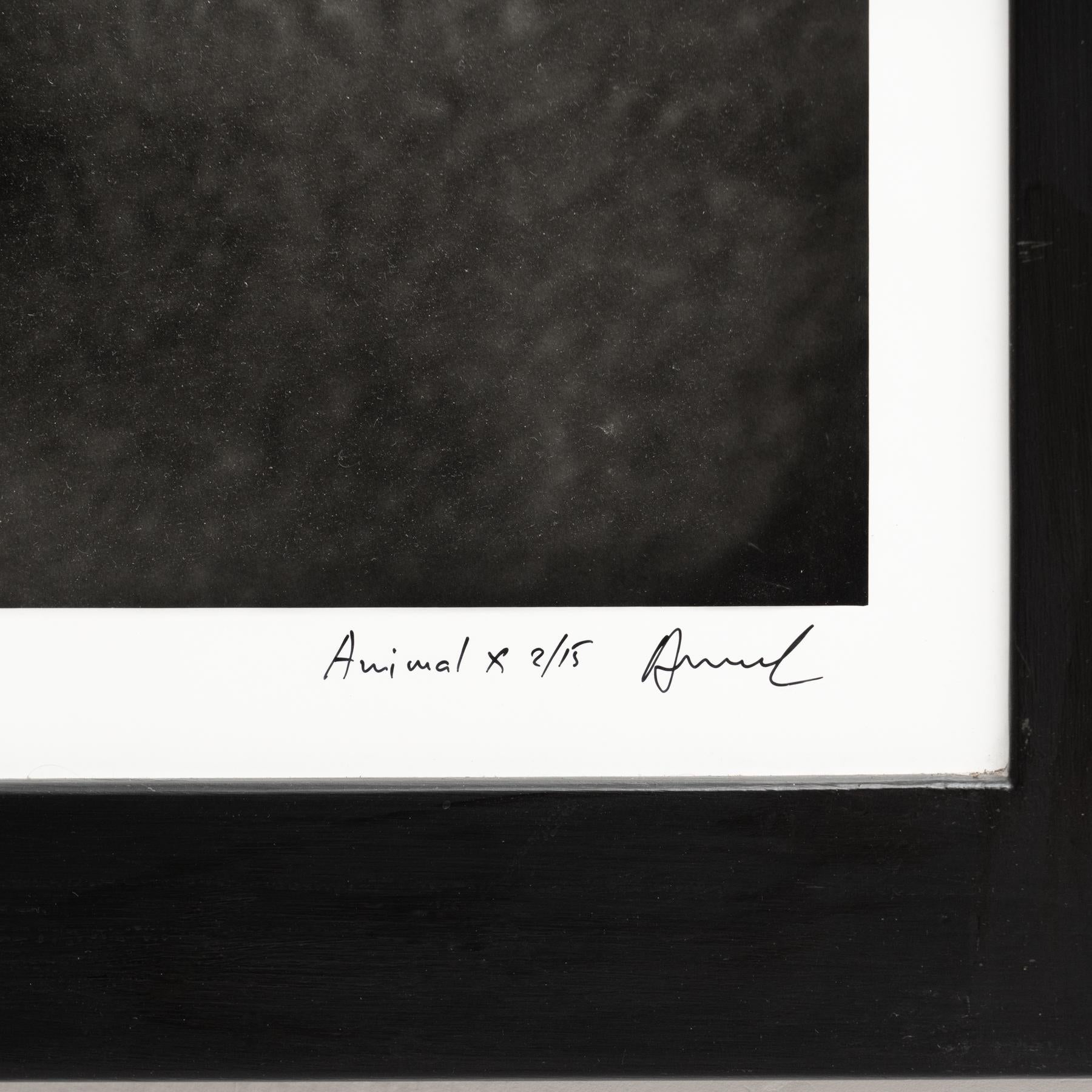 Paper Miquel Arnal Contemporary Photography, circa 1990 For Sale