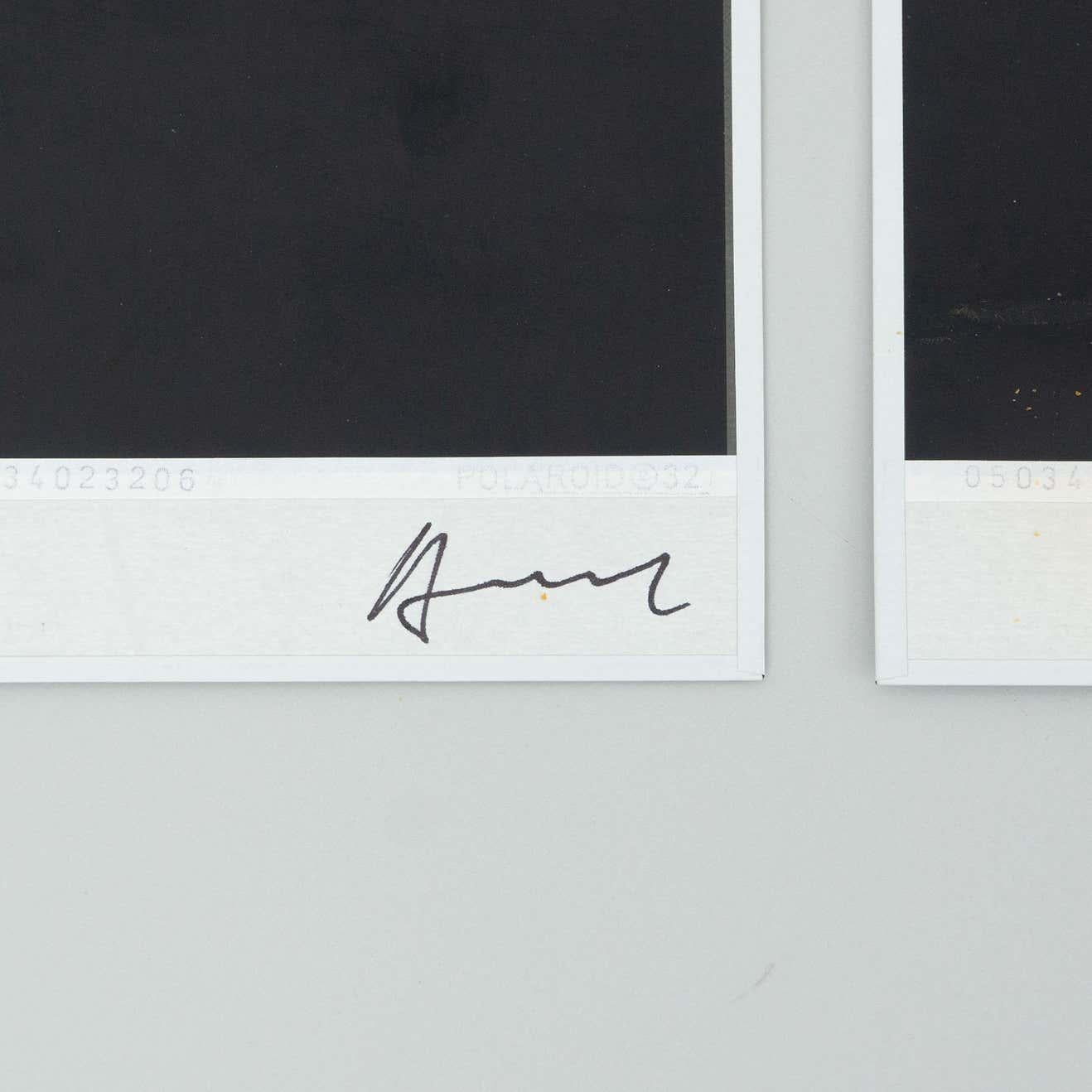 Miquel Arnal Set of Four Polaroid Photographs For Sale 6