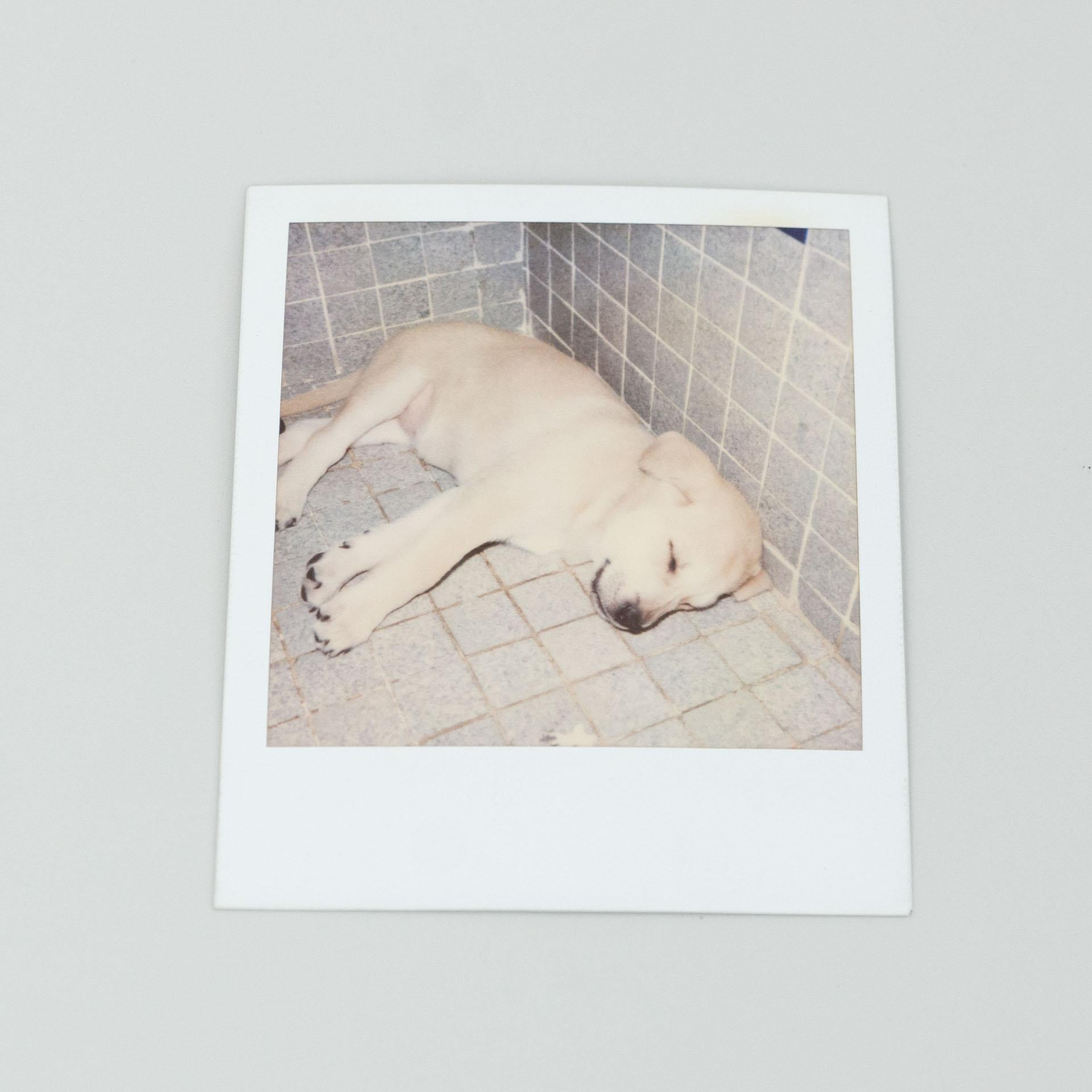 Ensemble de photographies polaroïdiques Miquel Arnal en vente 3
