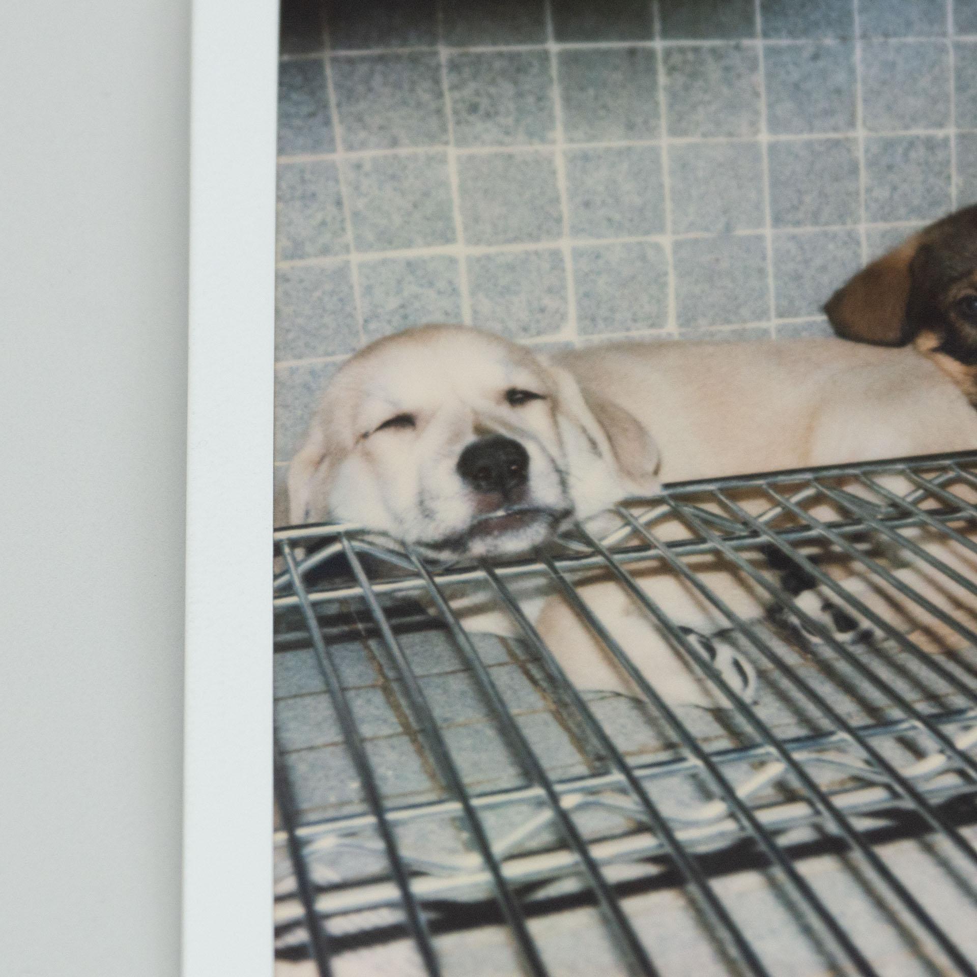 Ensemble de photographies polaroïdiques Miquel Arnal en vente 4