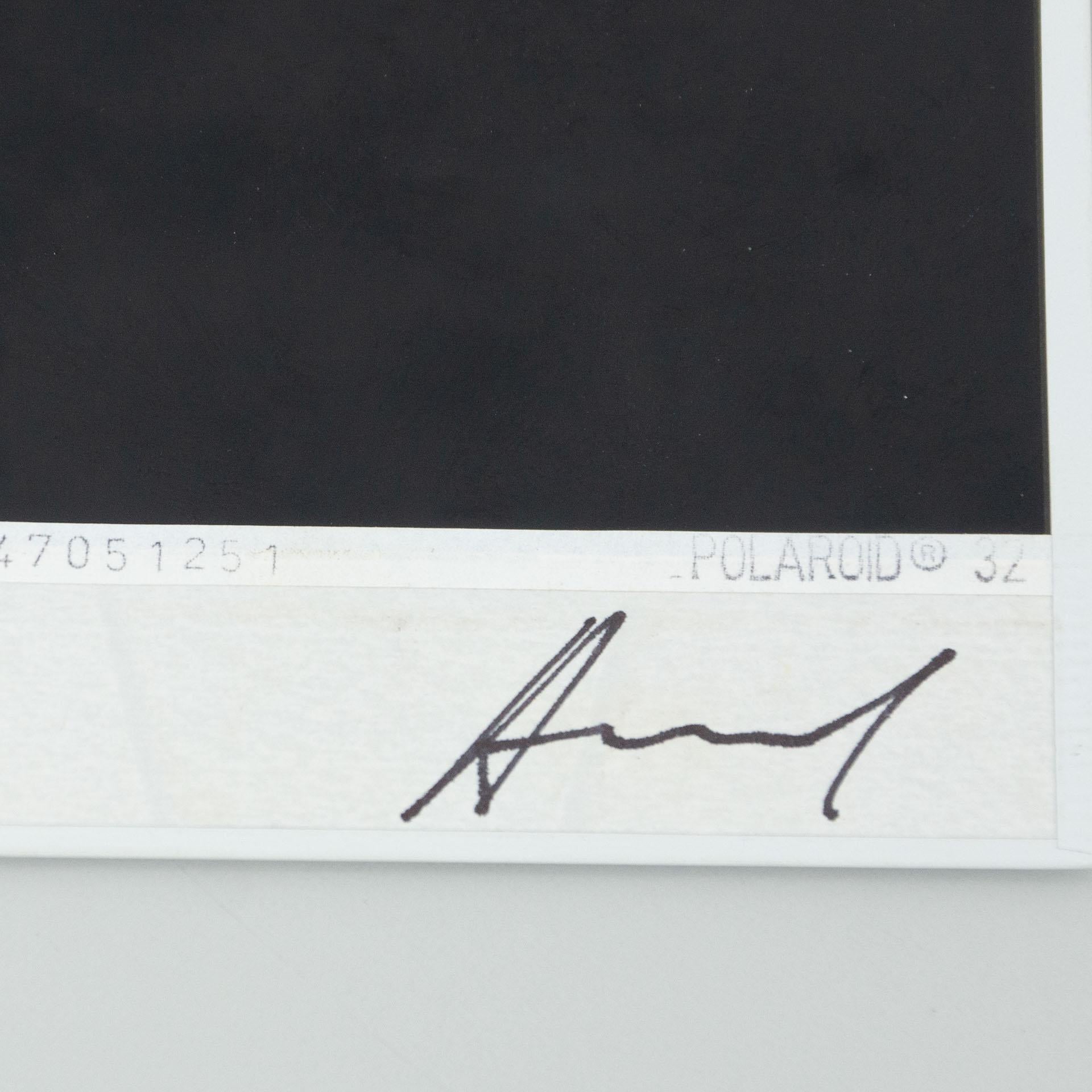 Miquel Arnal Set of Polaroid Photographs For Sale 5