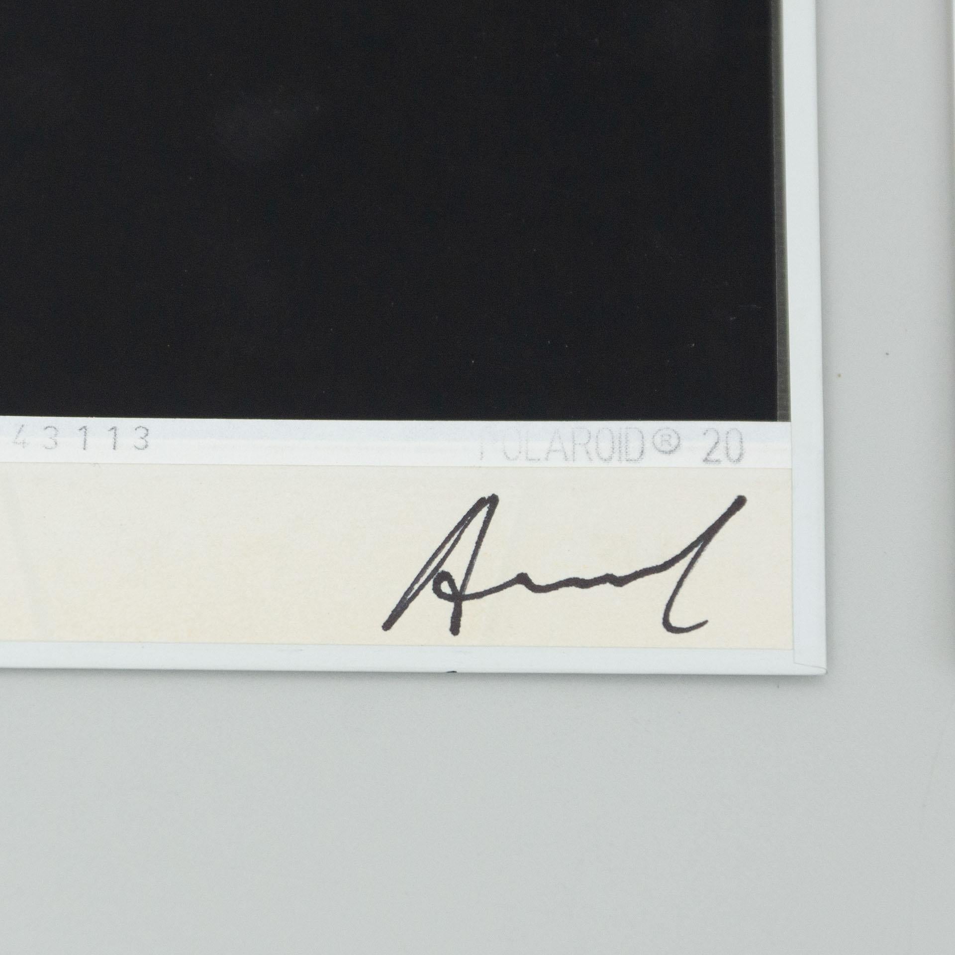 Miquel Arnal Set of Polaroid Photographs For Sale 7