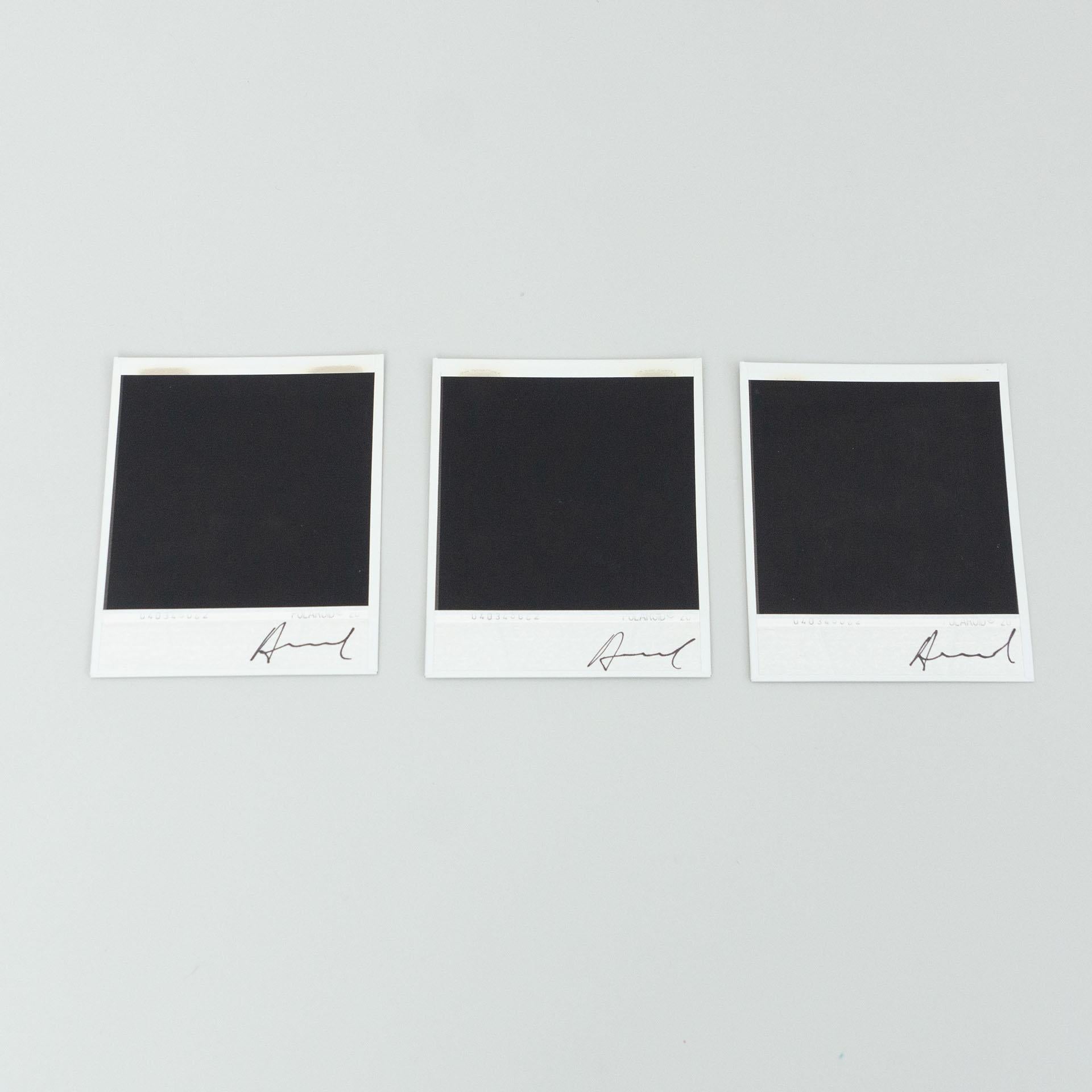 Miquel Arnal Set of Polaroid Photographs For Sale 9
