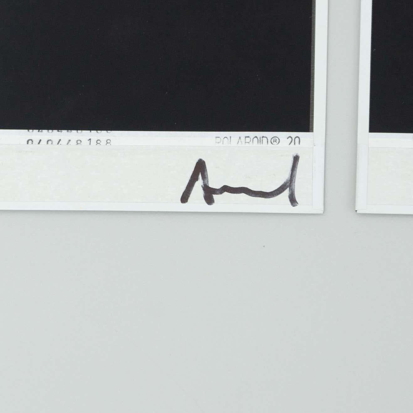Miquel Arnal Set of Polaroid Photographs For Sale 11