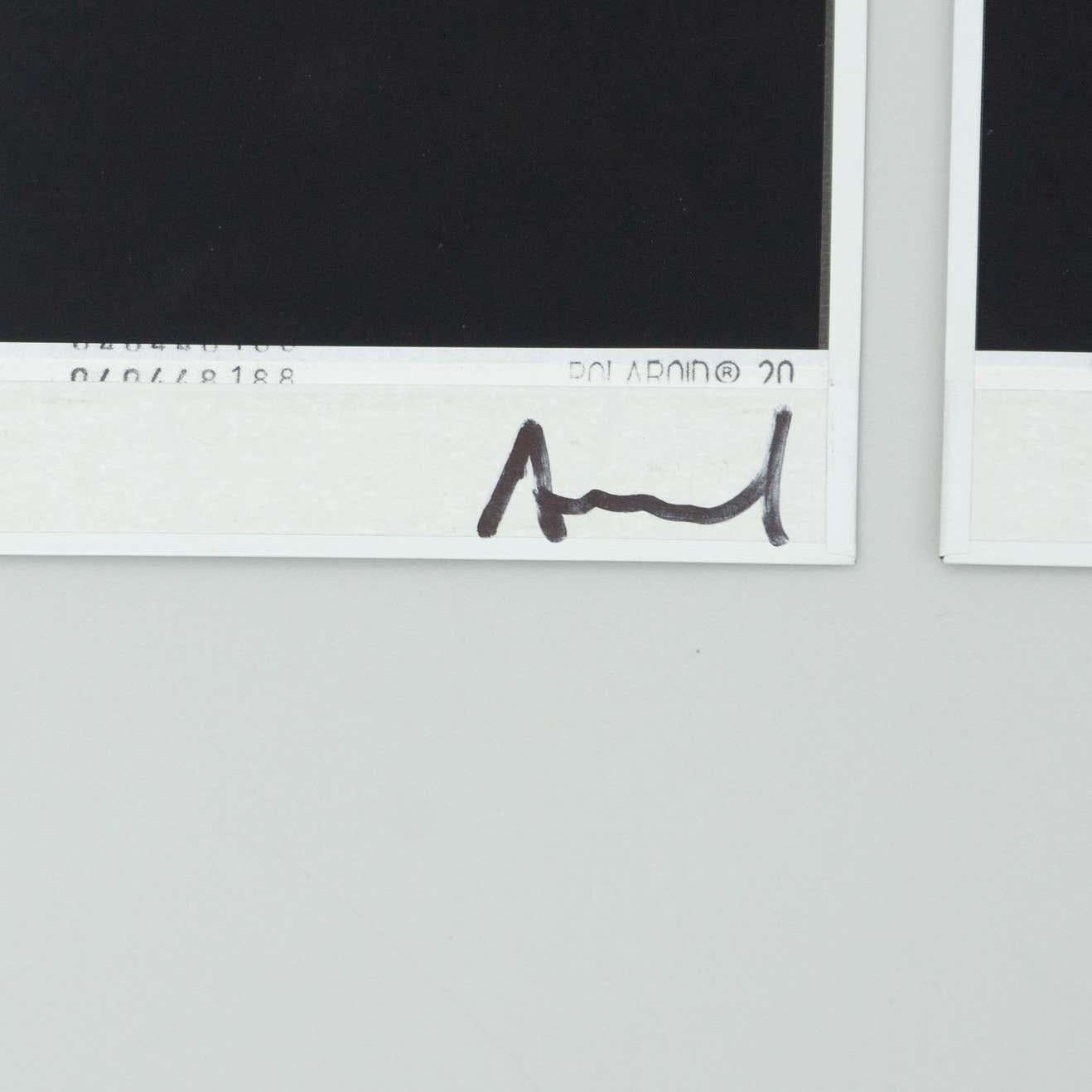 Miquel Arnal Conjunto de Fotografías Polaroid en venta 11