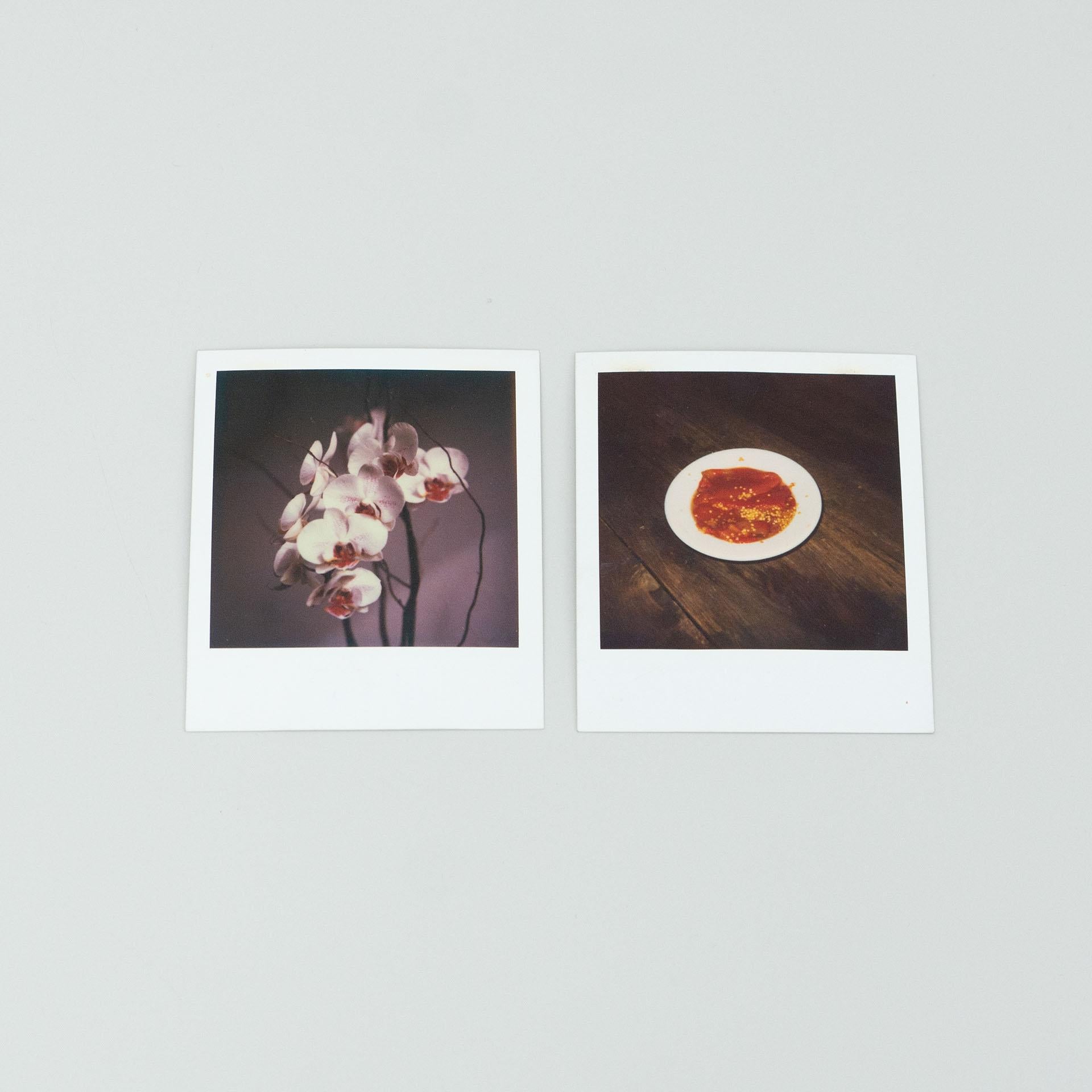 Reihe von Polaroid-Fotografien von Miquel Arnal.

Originaler Zustand mit geringen alters- und gebrauchsbedingten Abnutzungserscheinungen, der eine schöne Patina aufweist.

Material:
Photographisches Papier

Abmessungen (jedes Stück):
T 0,1