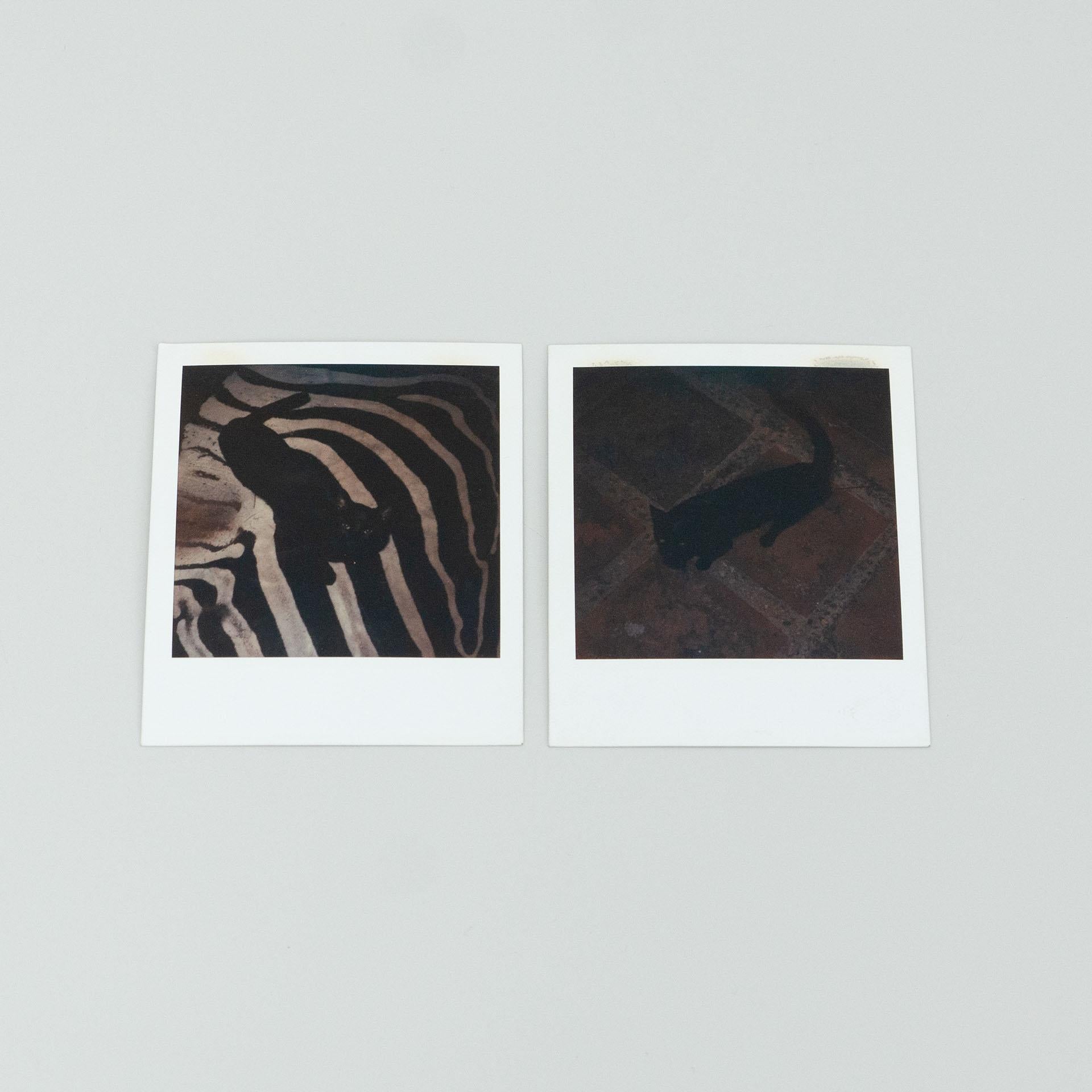 Set of polaroid photographs by Miquel Arnal.

In original condition, with minor wear consistent with age and use, preserving a beautiful patina.

Material:
Photographic paper

Dimensions (each one):
D 0.1 cm x W 9 cm x H 11 cm

About the