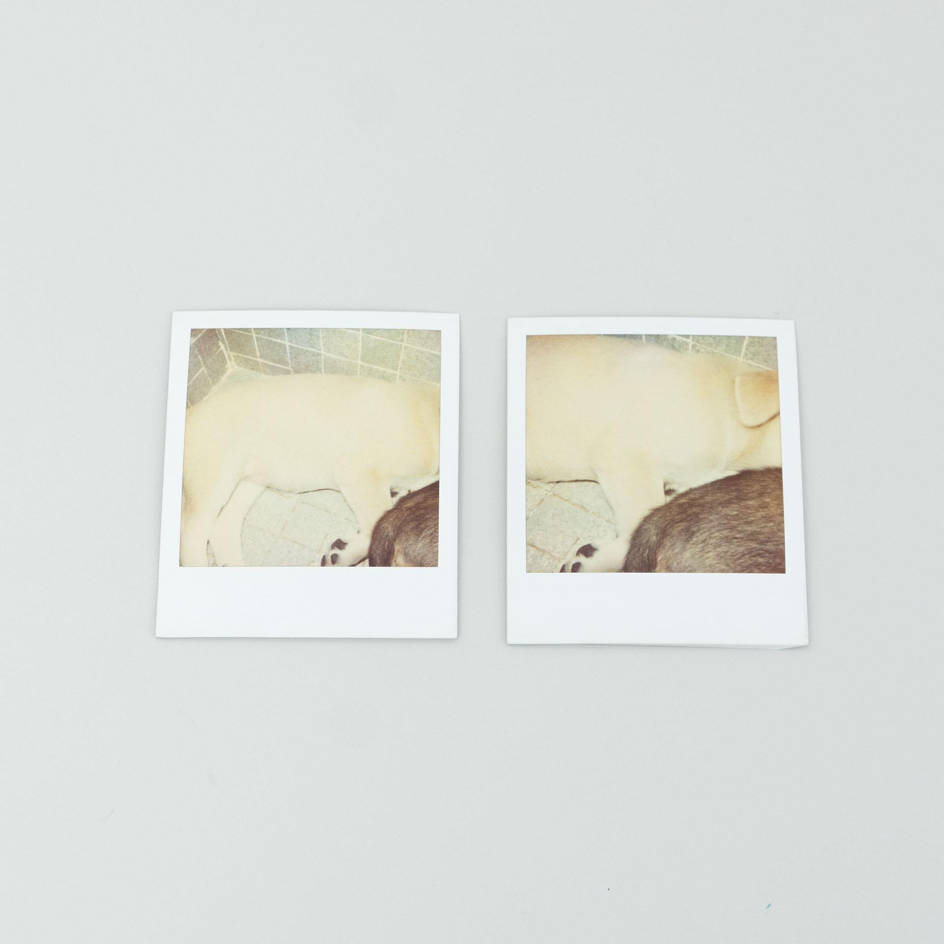 Set of polaroid photographs by Miquel Arnal.
Hand signed.

In original condition, with minor wear consistent with age and use, preserving a beautiful patina.

Material:
Photographic paper

Dimensions (each one):
D 0.1 cm x W 9 cm x H 11