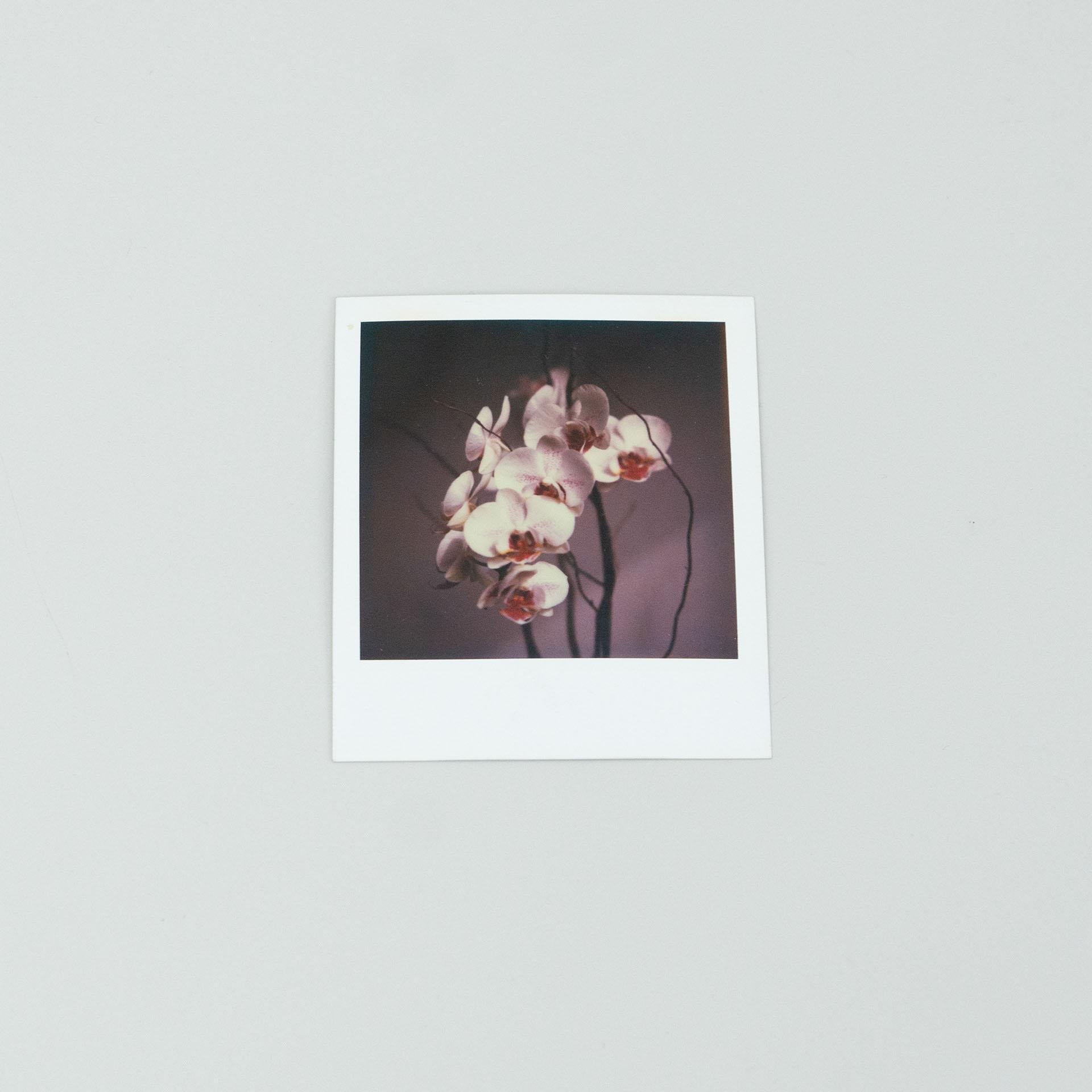 Post-Modern Miquel Arnal Set of Polaroid Photographs For Sale