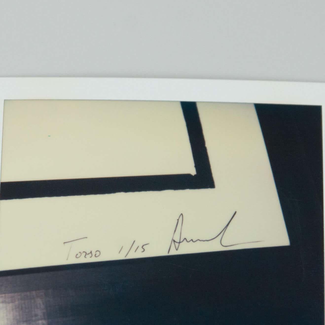 Spanish Miquel Arnal Set of Polaroid Photographs For Sale