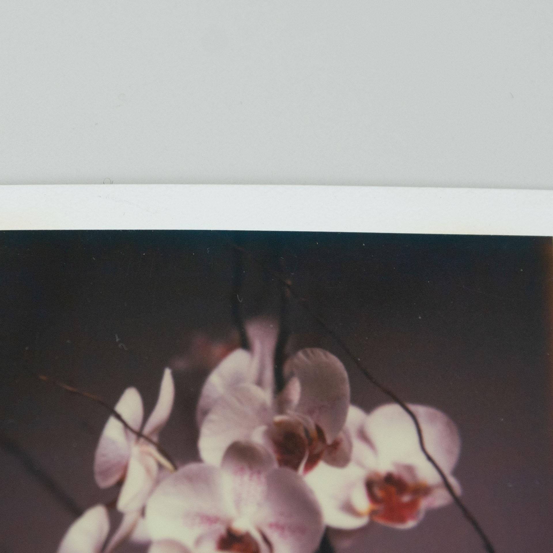 Miquel Arnal Set of Polaroid Photographs In Good Condition For Sale In Barcelona, Barcelona