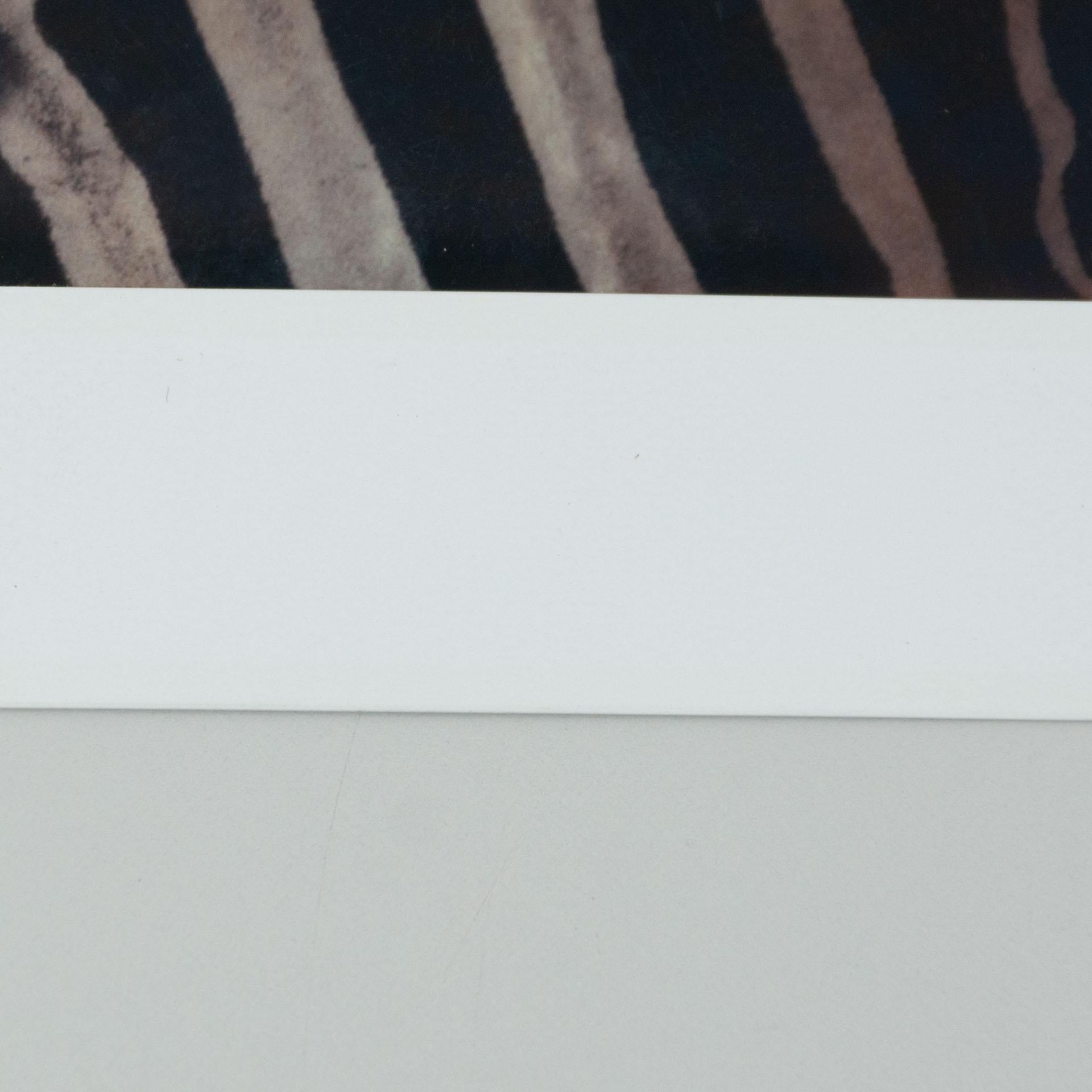 Ensemble de photographies polaroïdiques Miquel Arnal Bon état - En vente à Barcelona, Barcelona