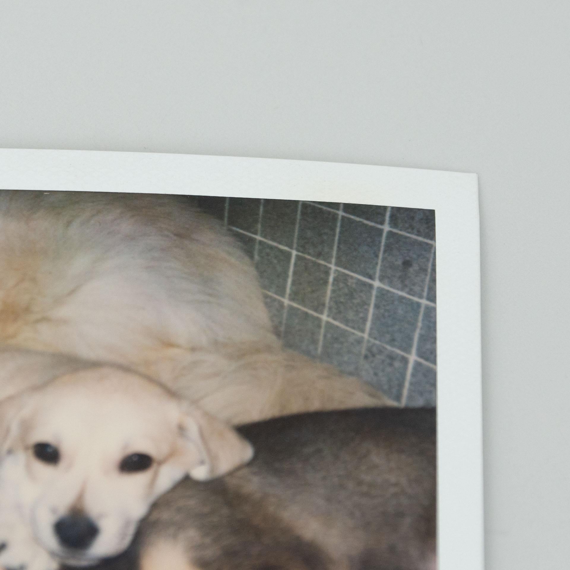 Fin du 20e siècle Ensemble de photographies polaroïdiques Miquel Arnal en vente